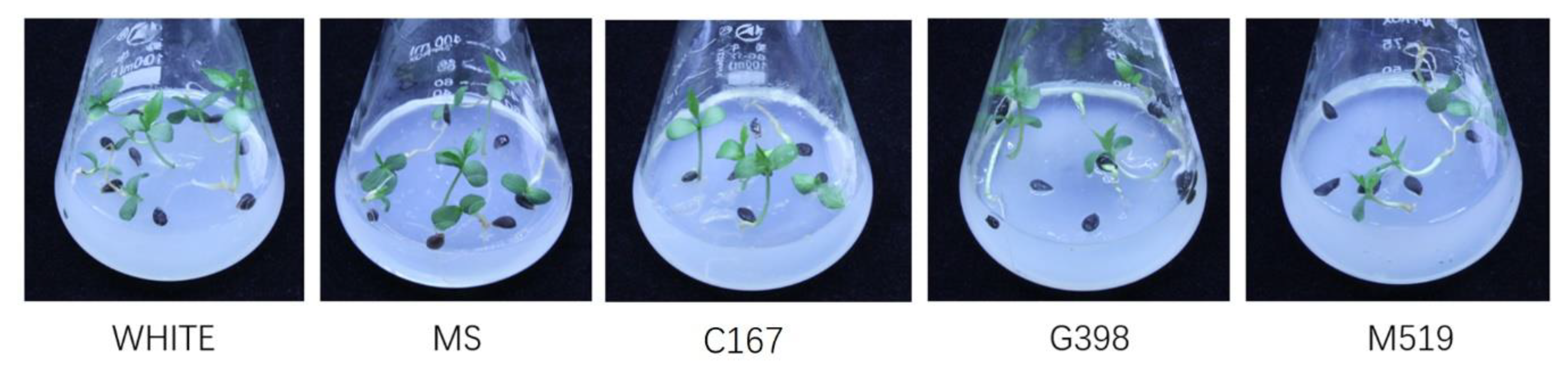 Preprints 88089 g004