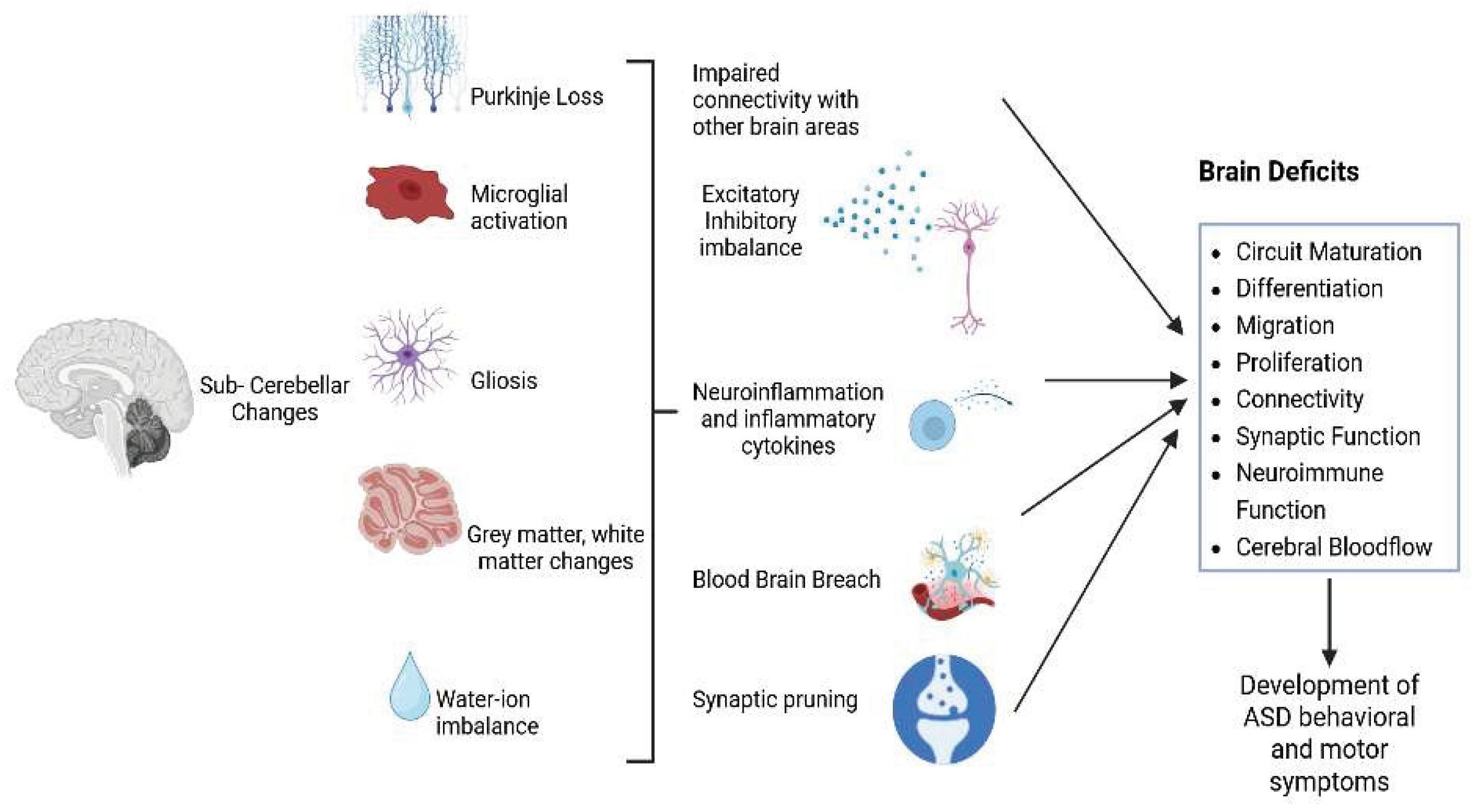 Preprints 194070 g001