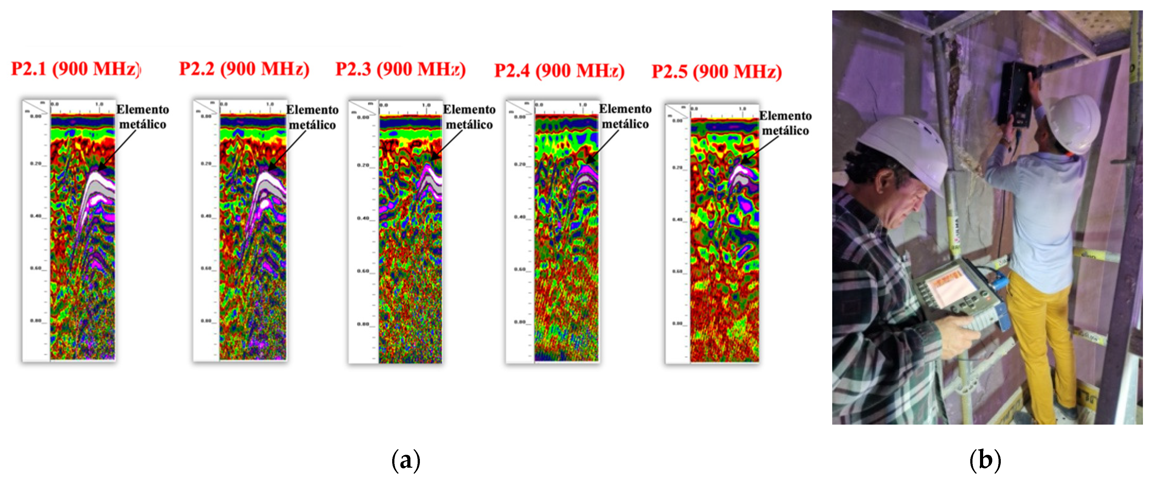 Preprints 108369 g009