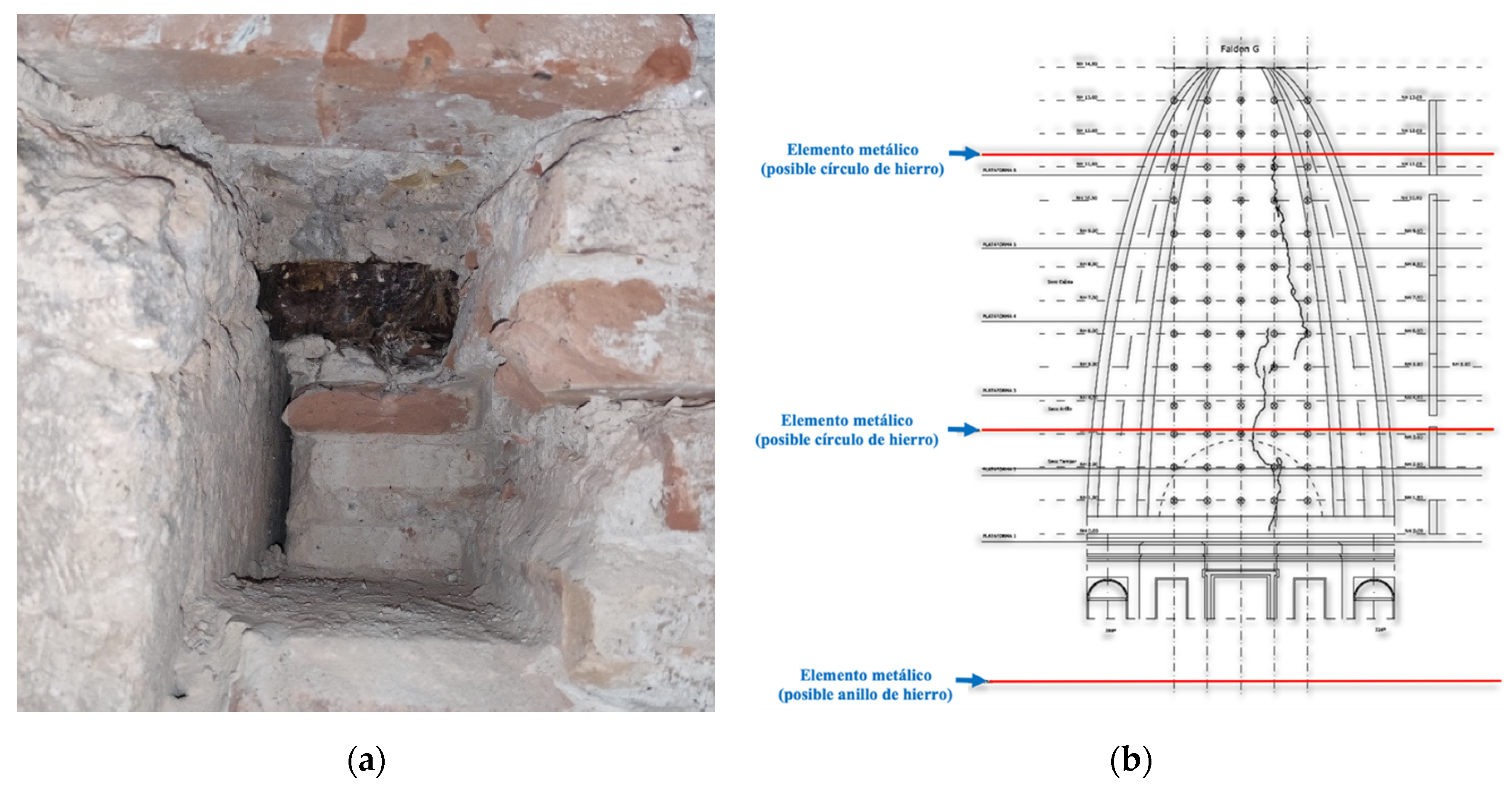 Preprints 108369 g010