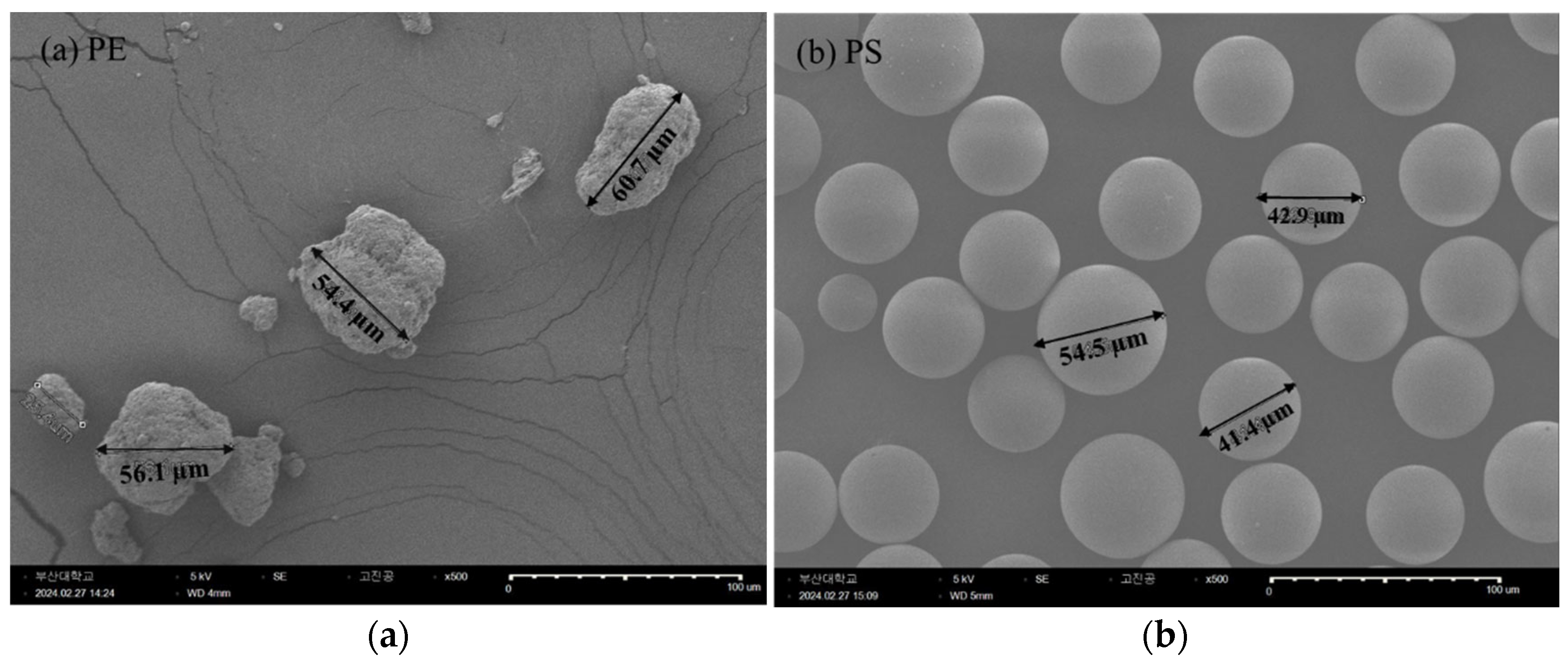 Preprints 150359 g005