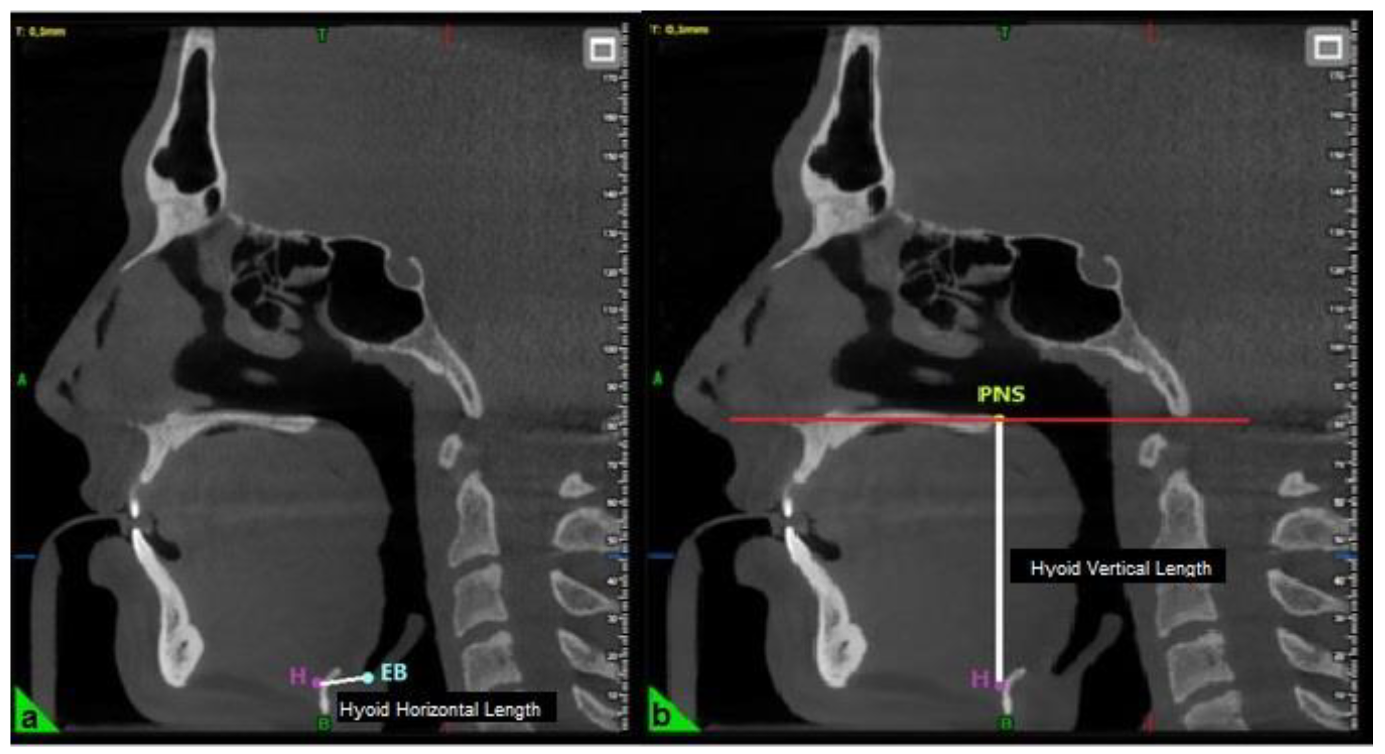 Preprints 174269 g002