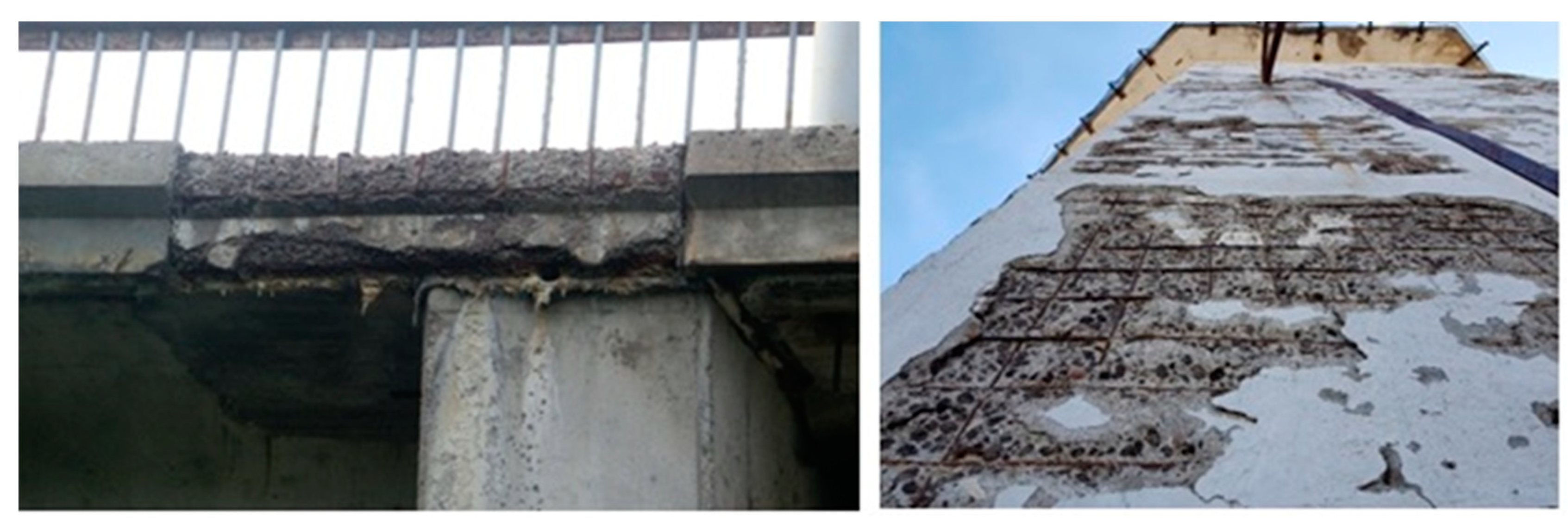 Preprints 139656 g001