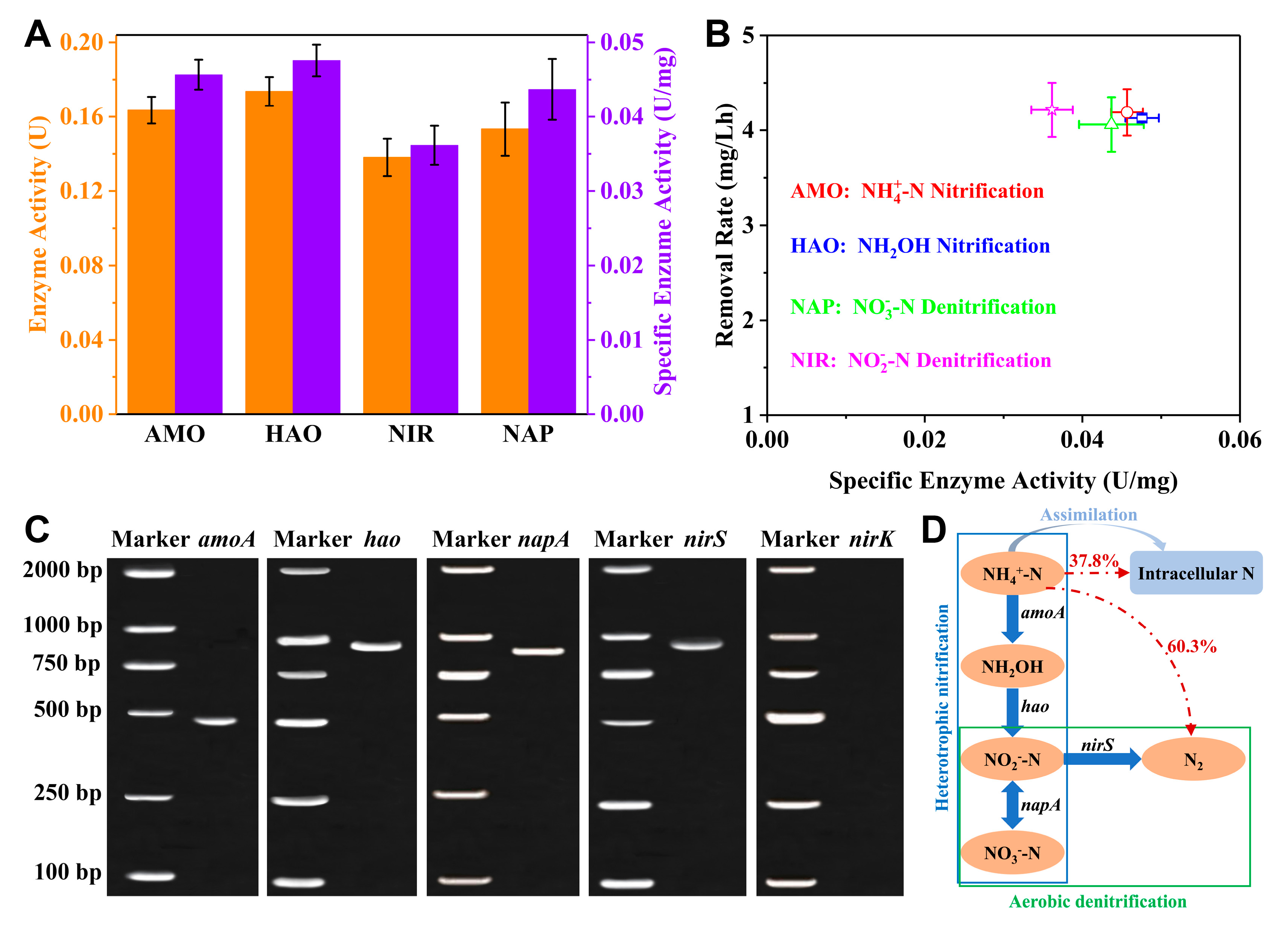 Preprints 155824 g006