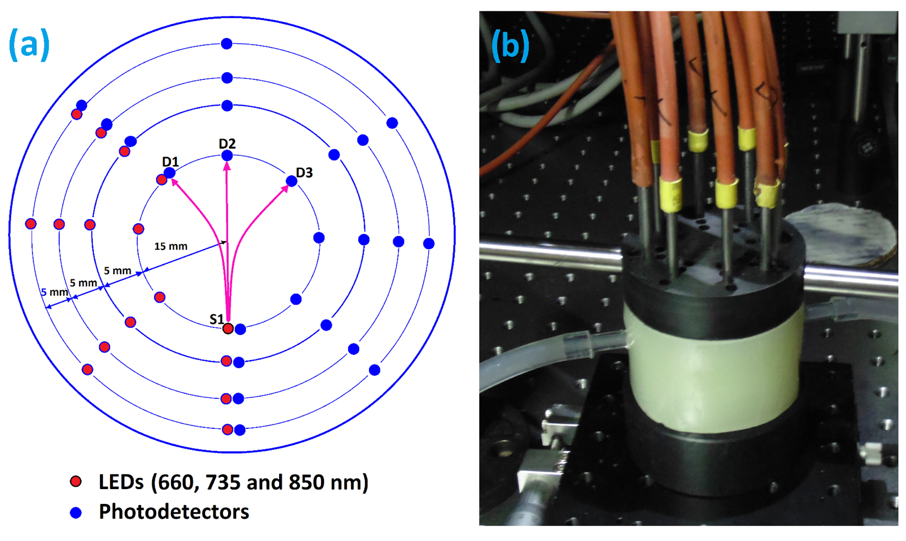 Preprints 93612 g002