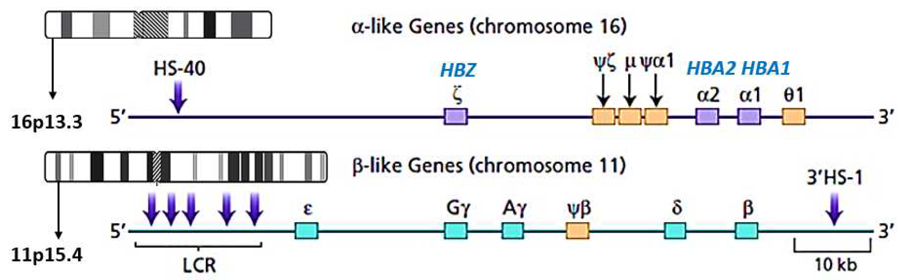 Preprints 75985 g001
