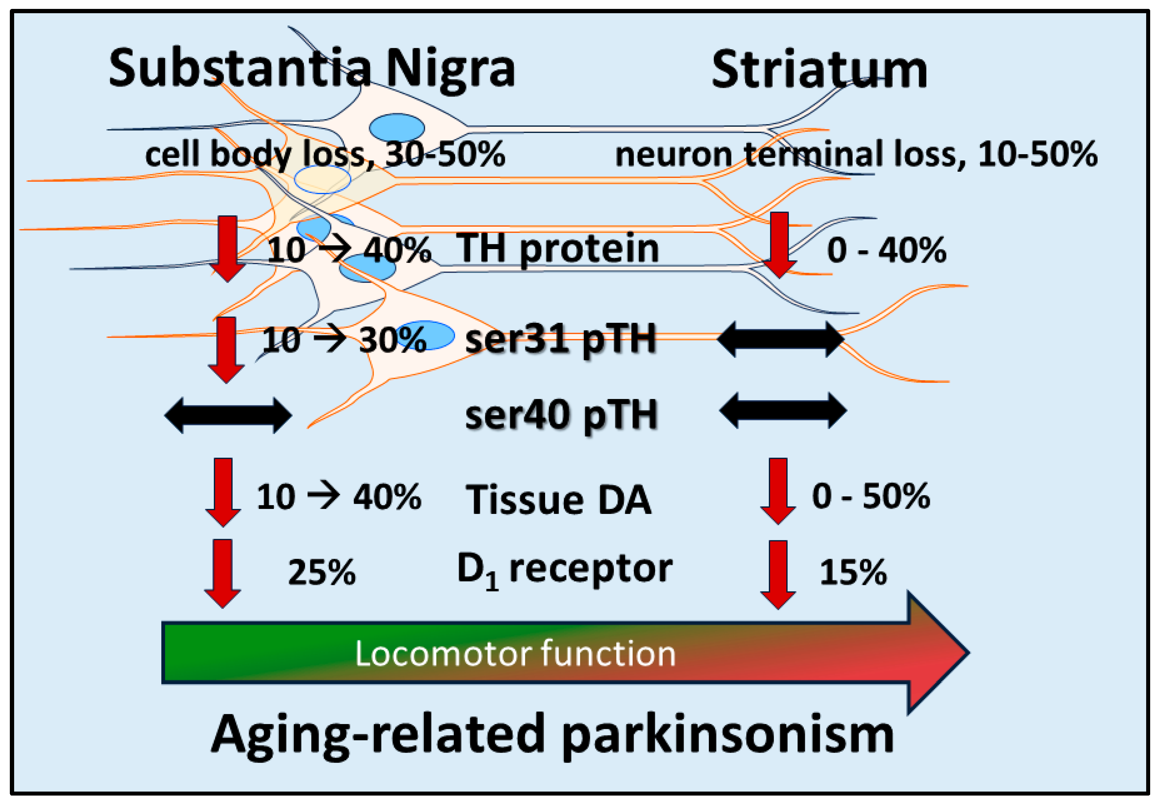 Preprints 93044 g001
