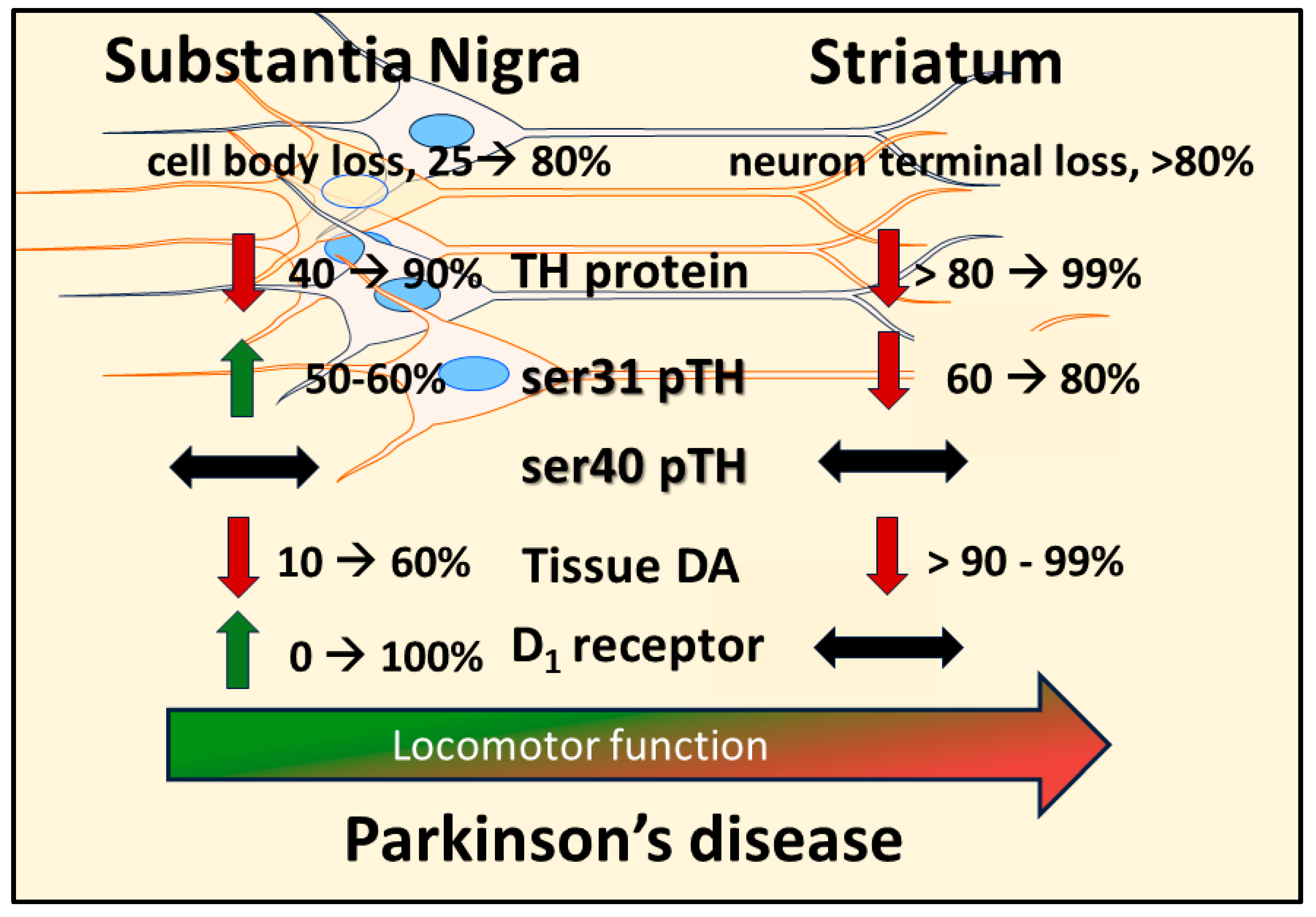 Preprints 93044 g002