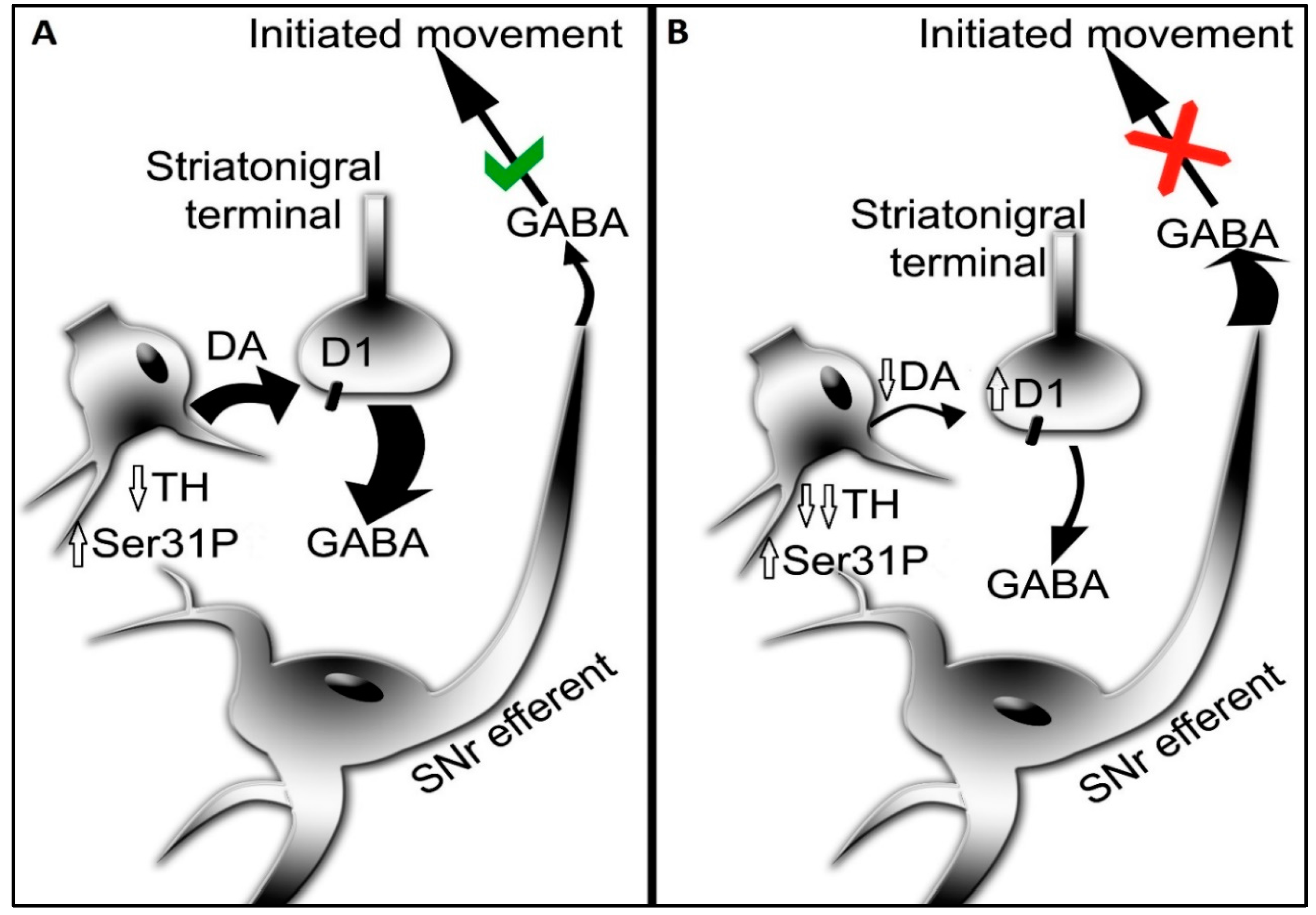 Preprints 93044 g003