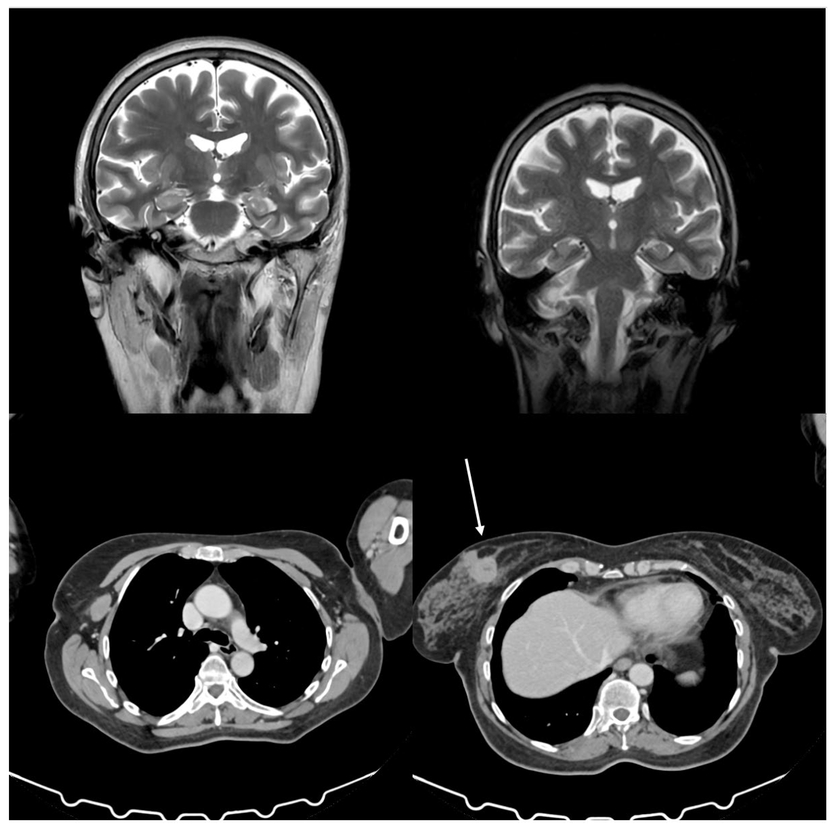 Preprints 154222 g002