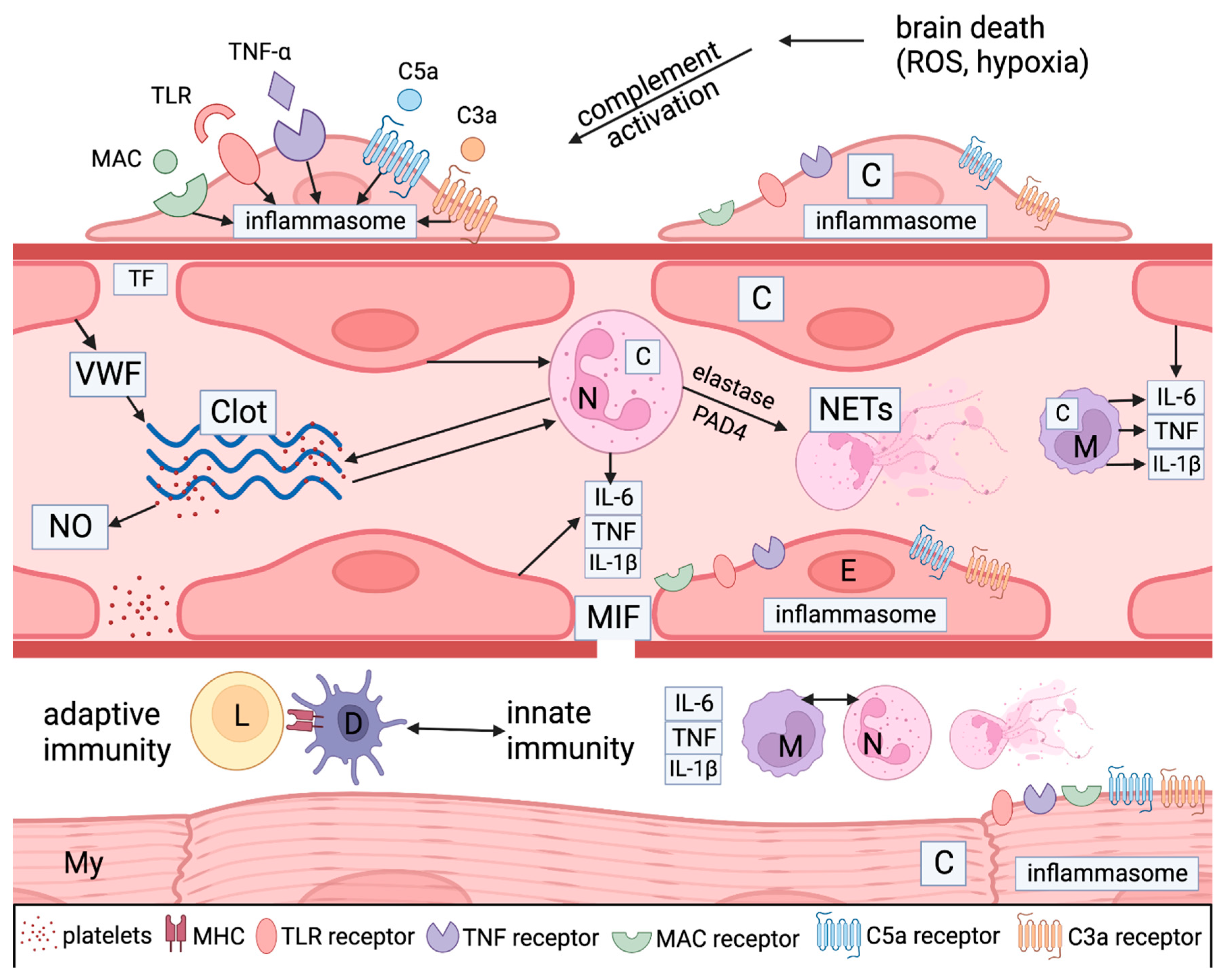 Preprints 88595 g006