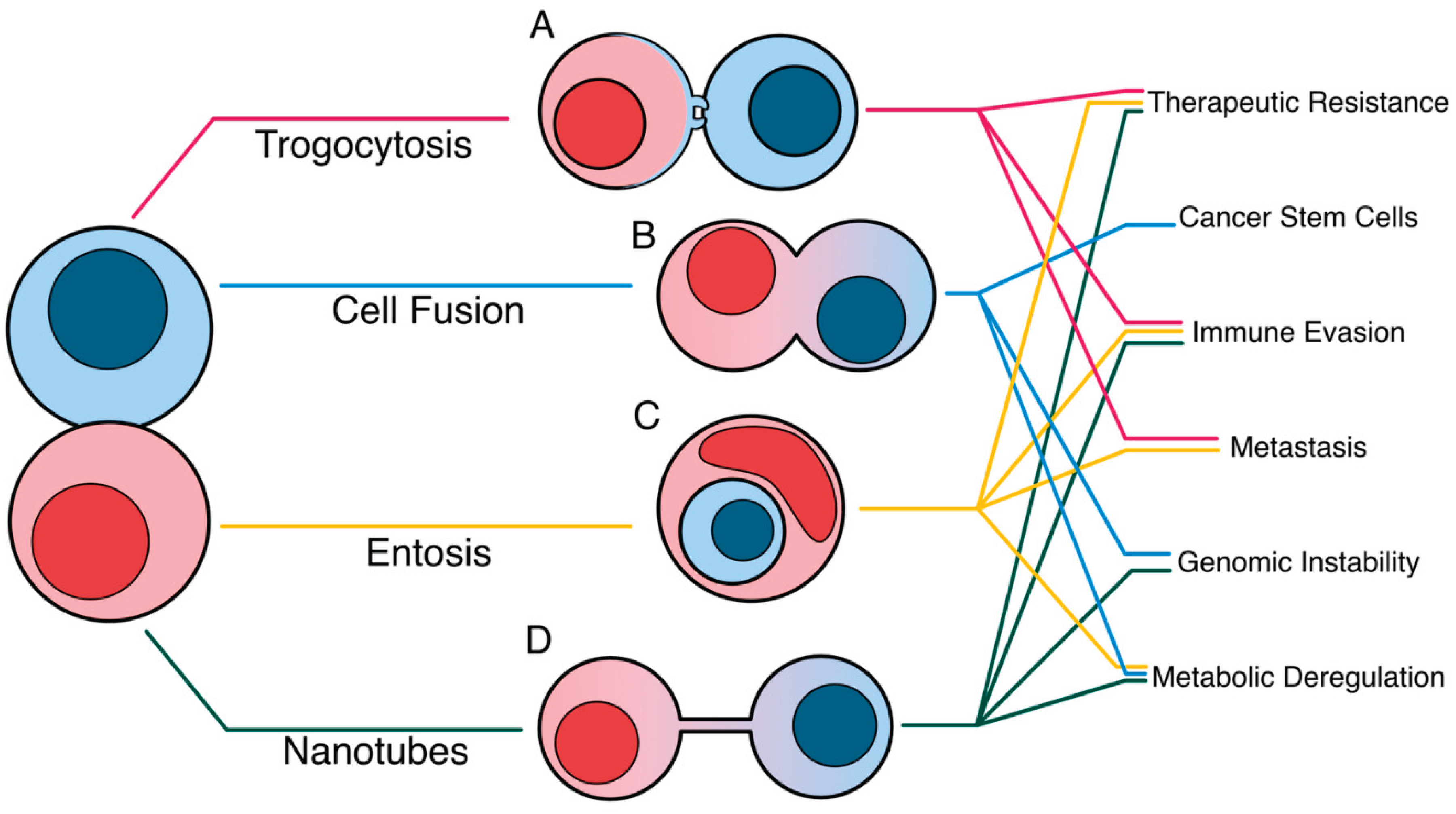 Preprints 160369 g001