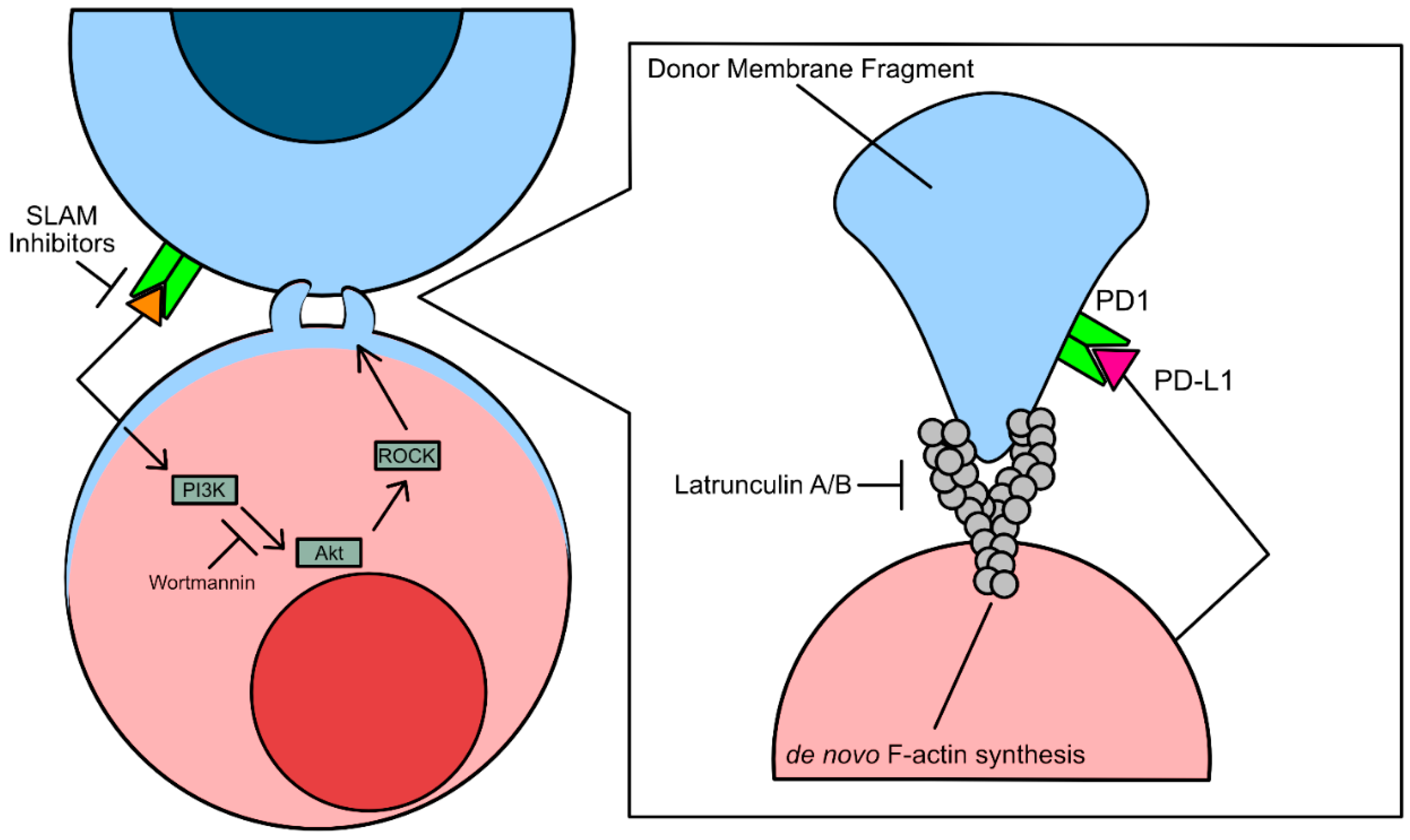 Preprints 160369 g002