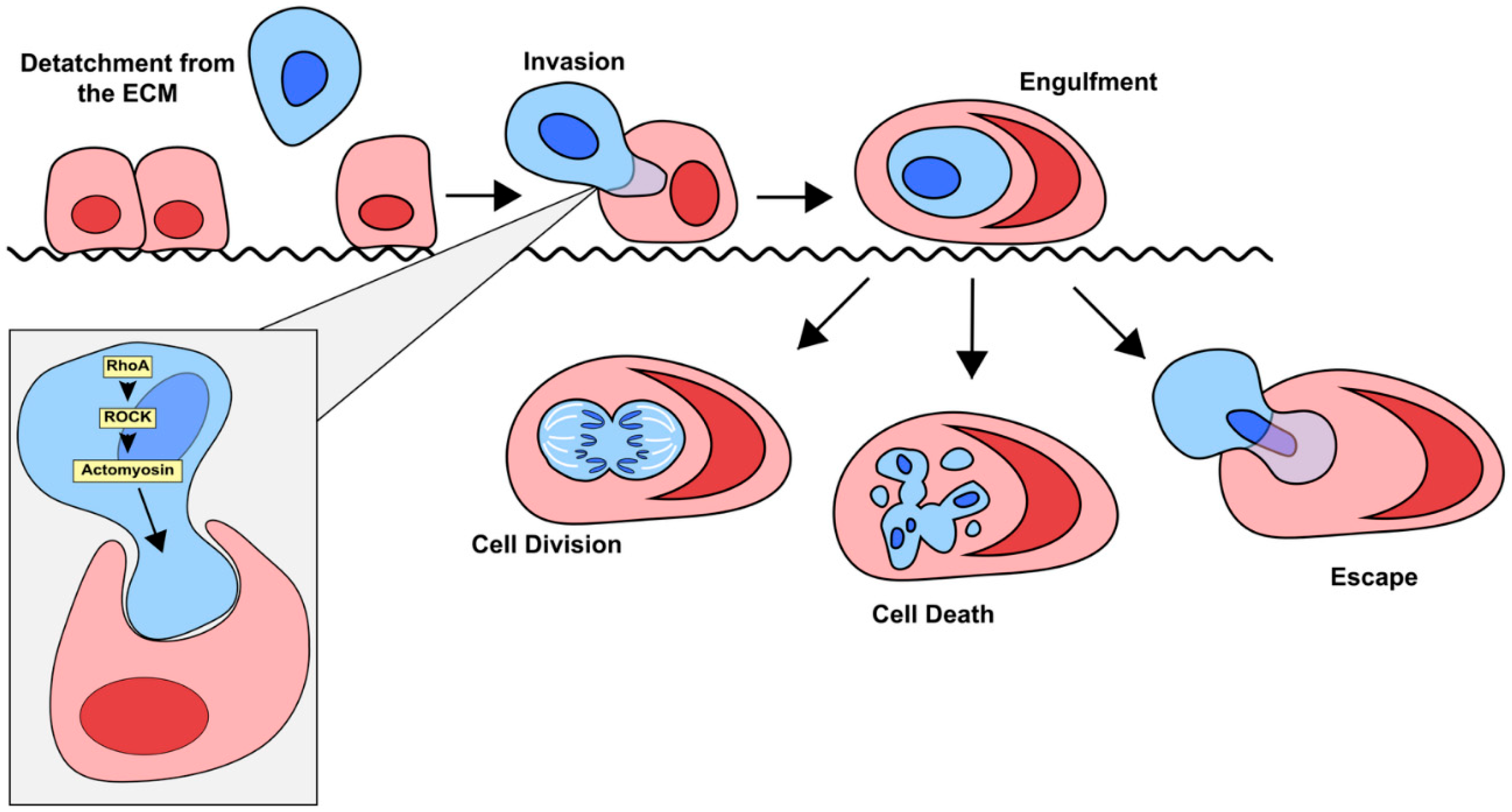 Preprints 160369 g003