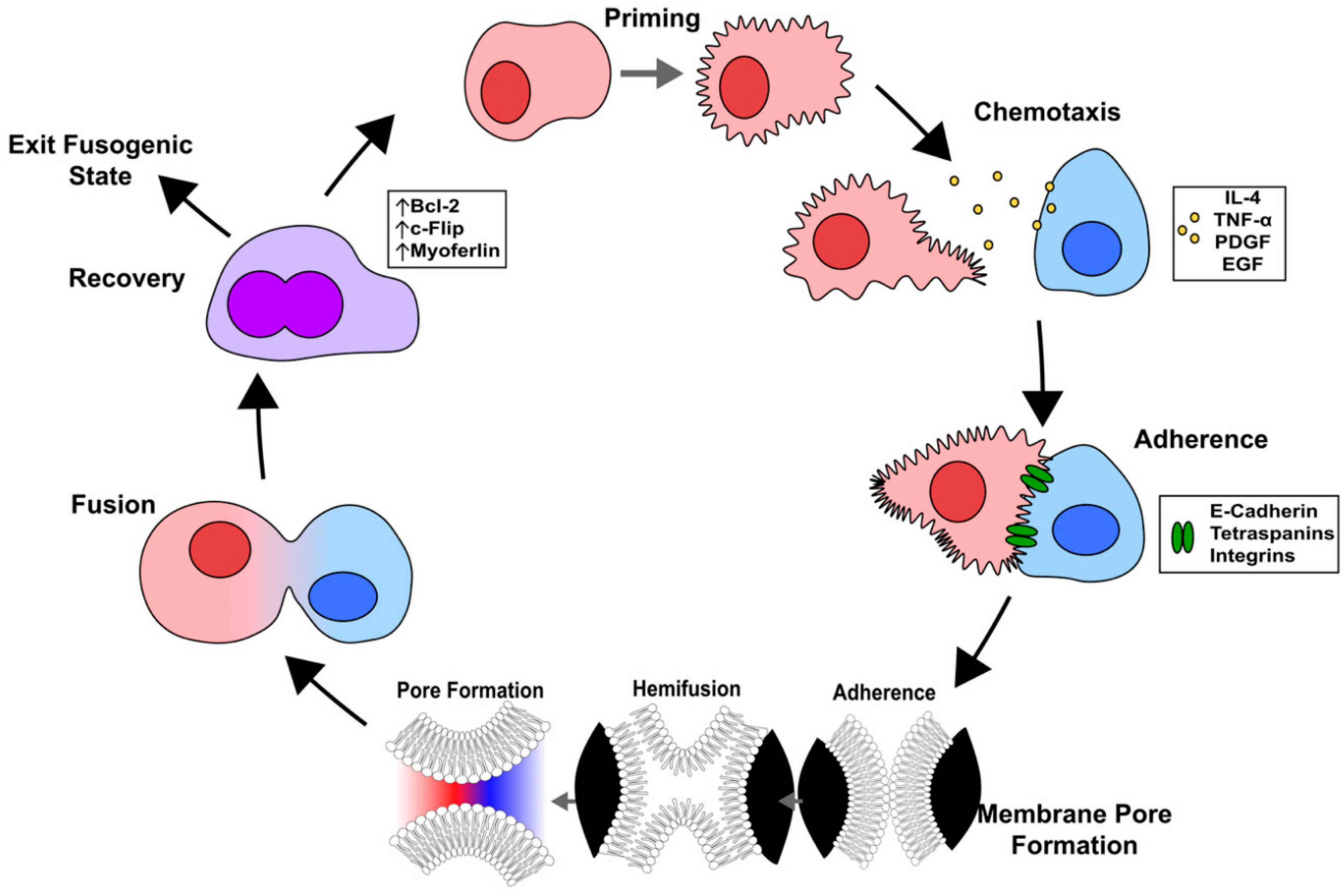 Preprints 160369 g004