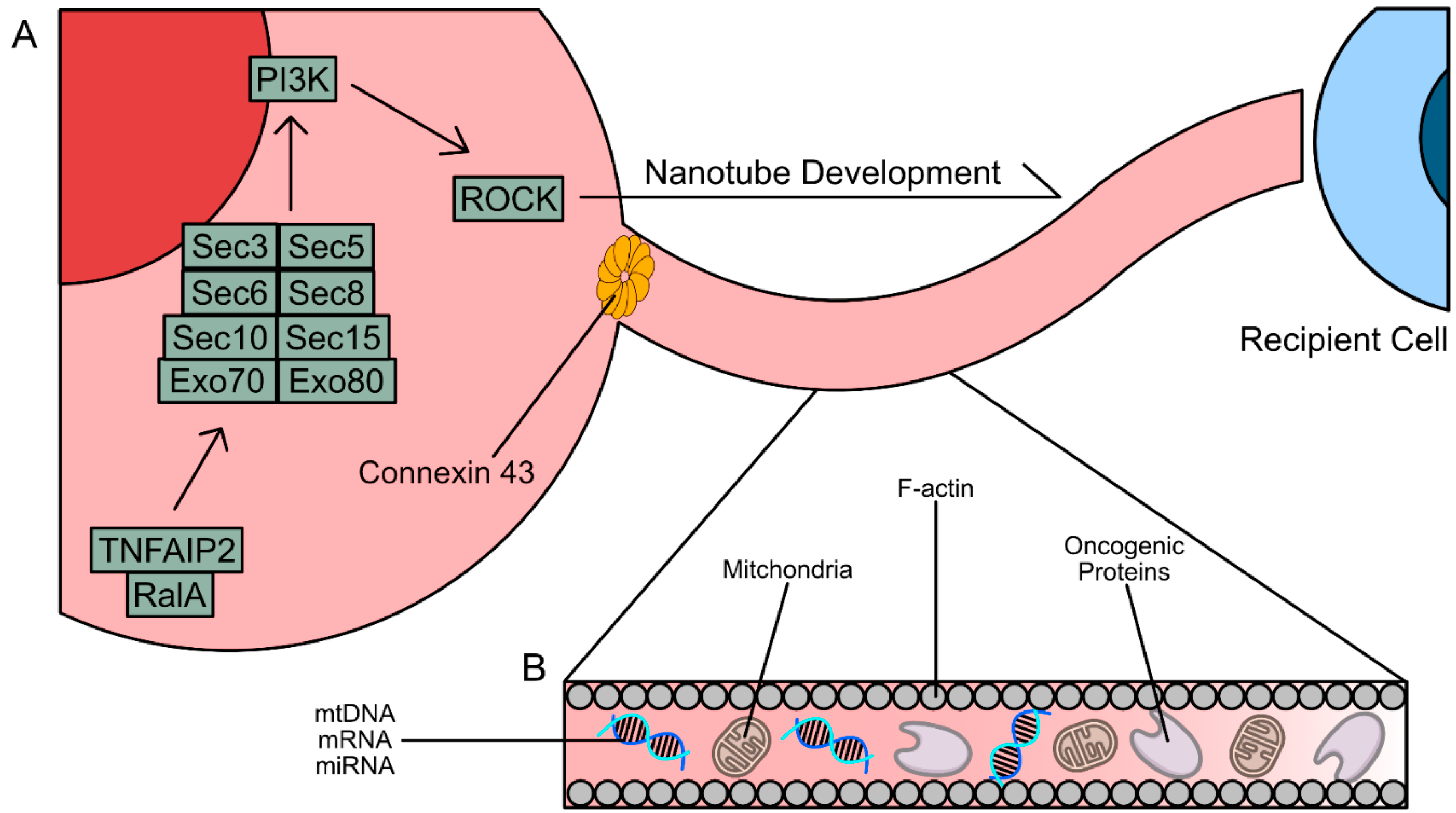 Preprints 160369 g005