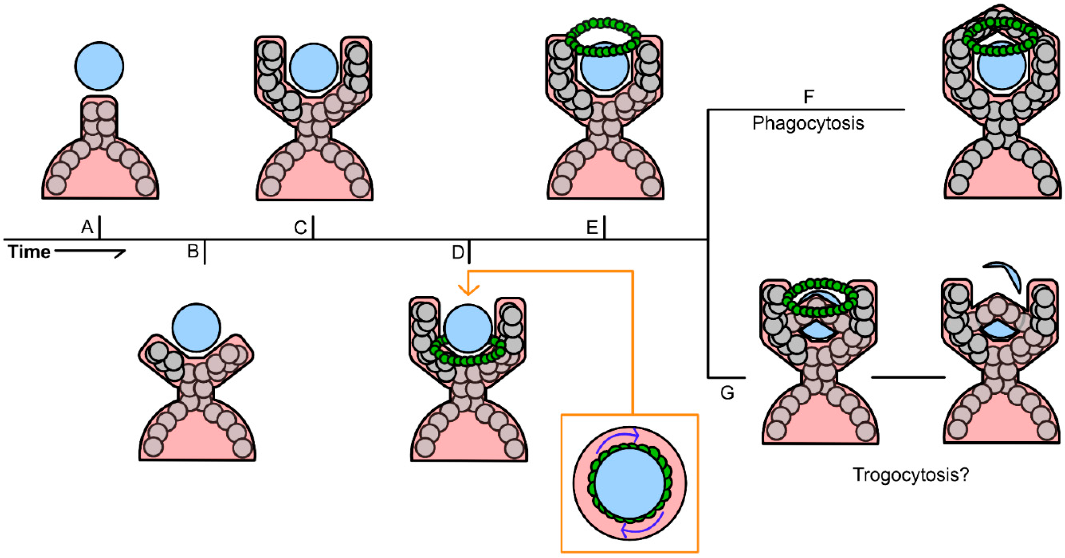 Preprints 160369 g006