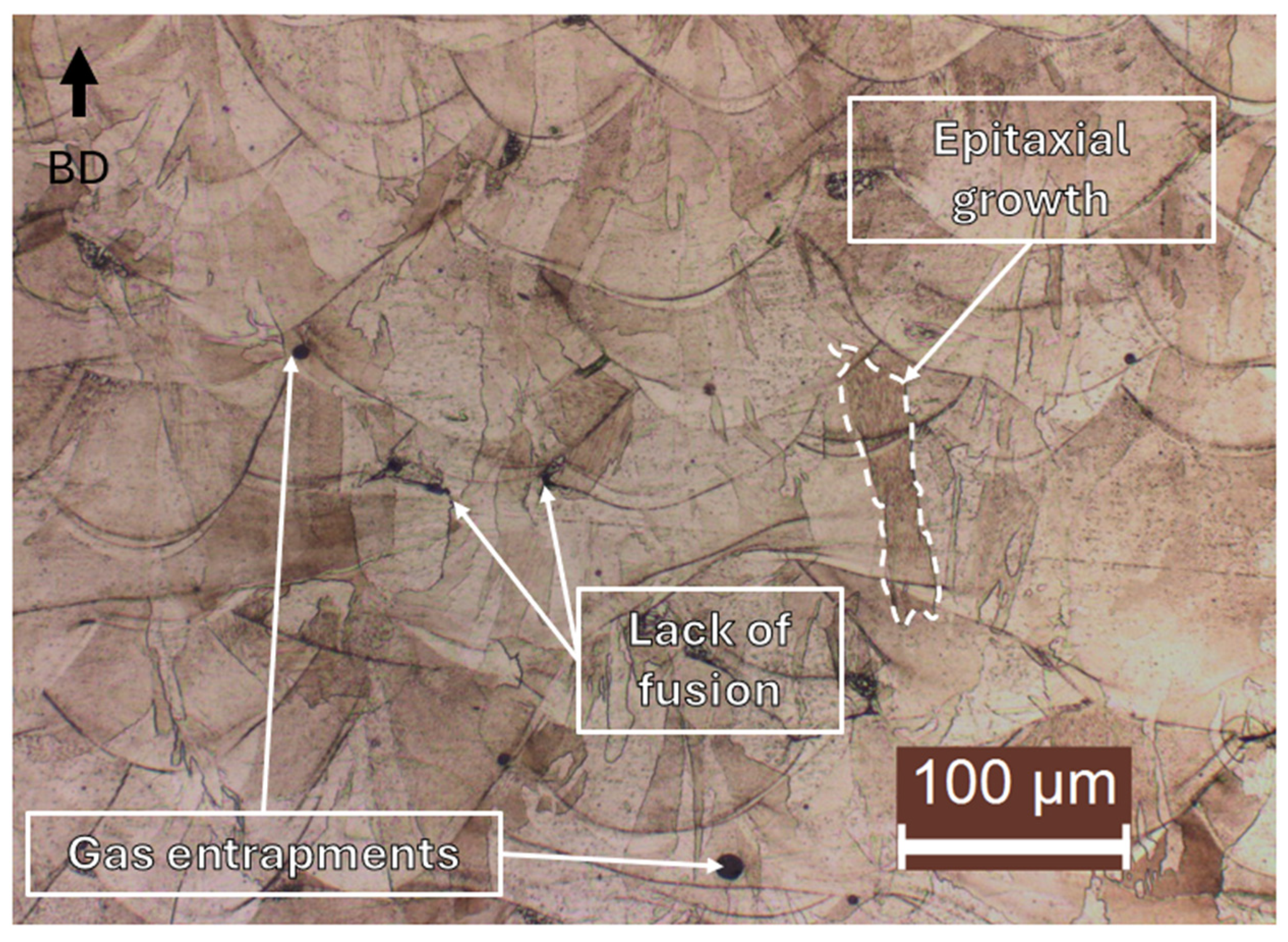 Preprints 208969 g003