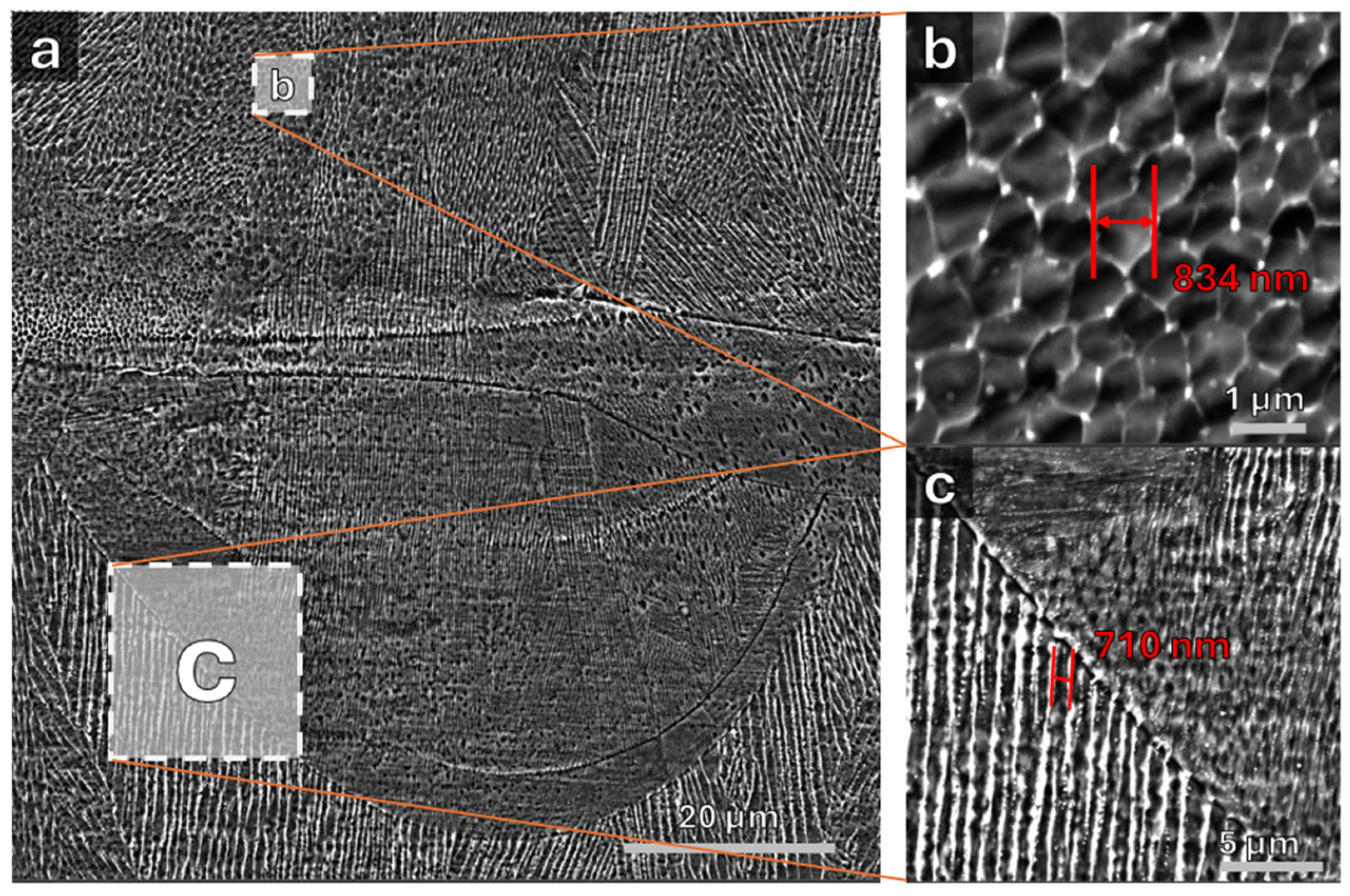 Preprints 208969 g004