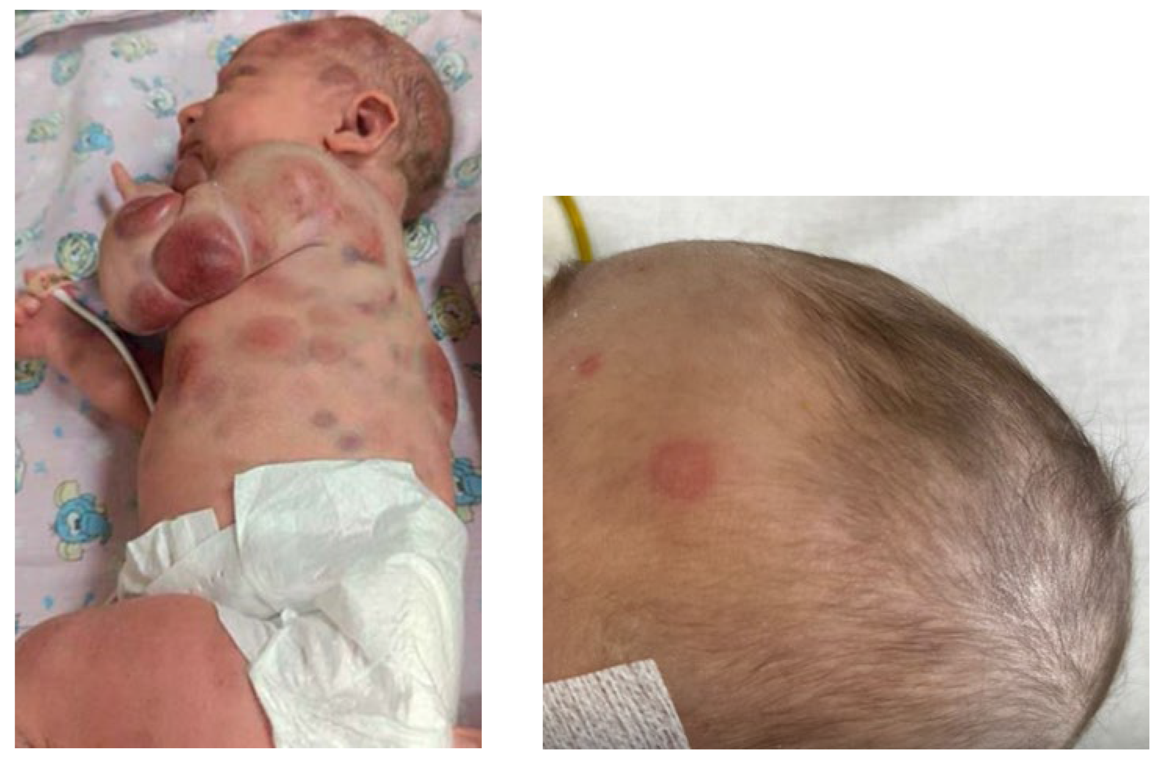 Preprints 173876 g001