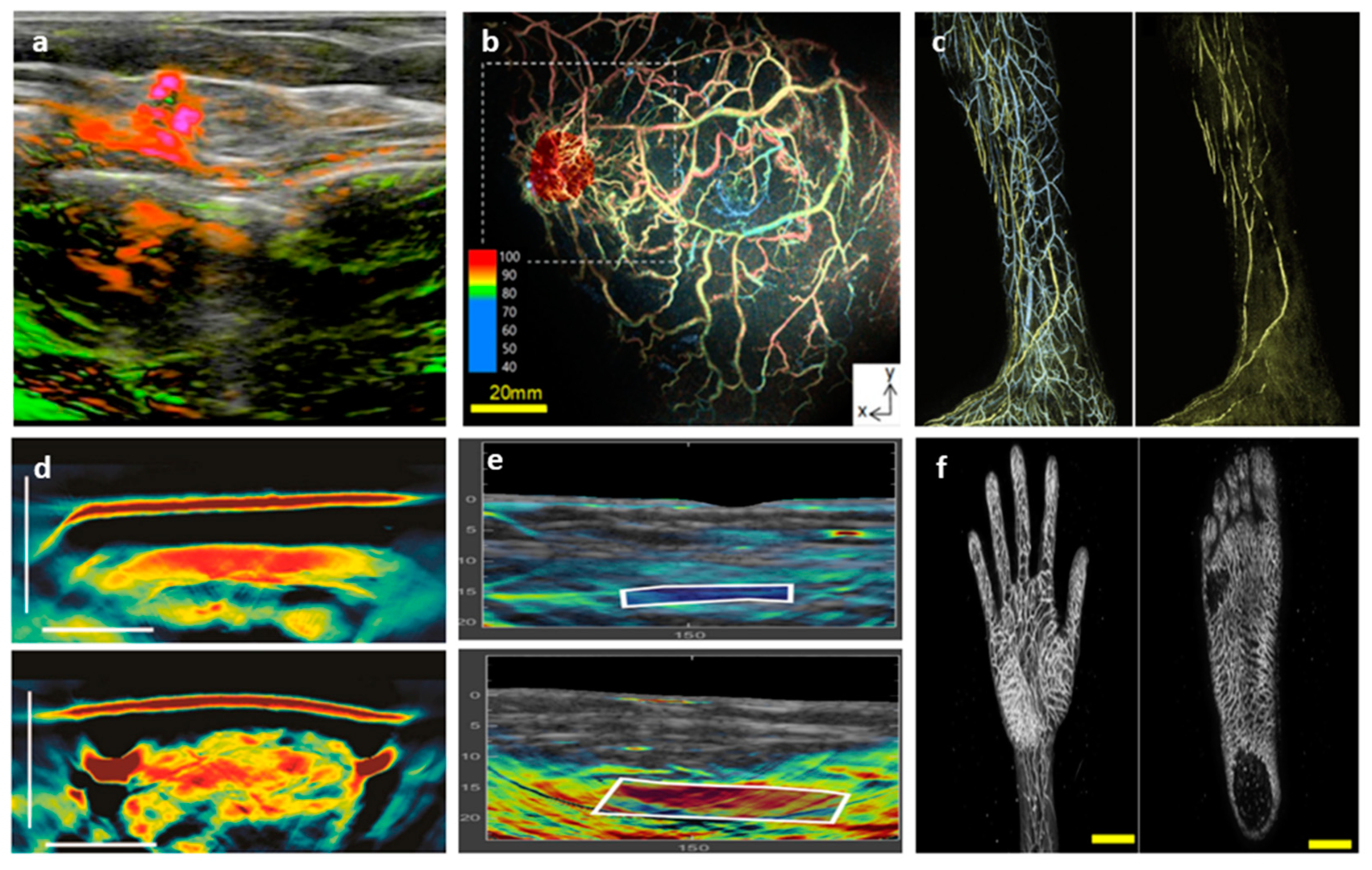 Preprints 104524 g003