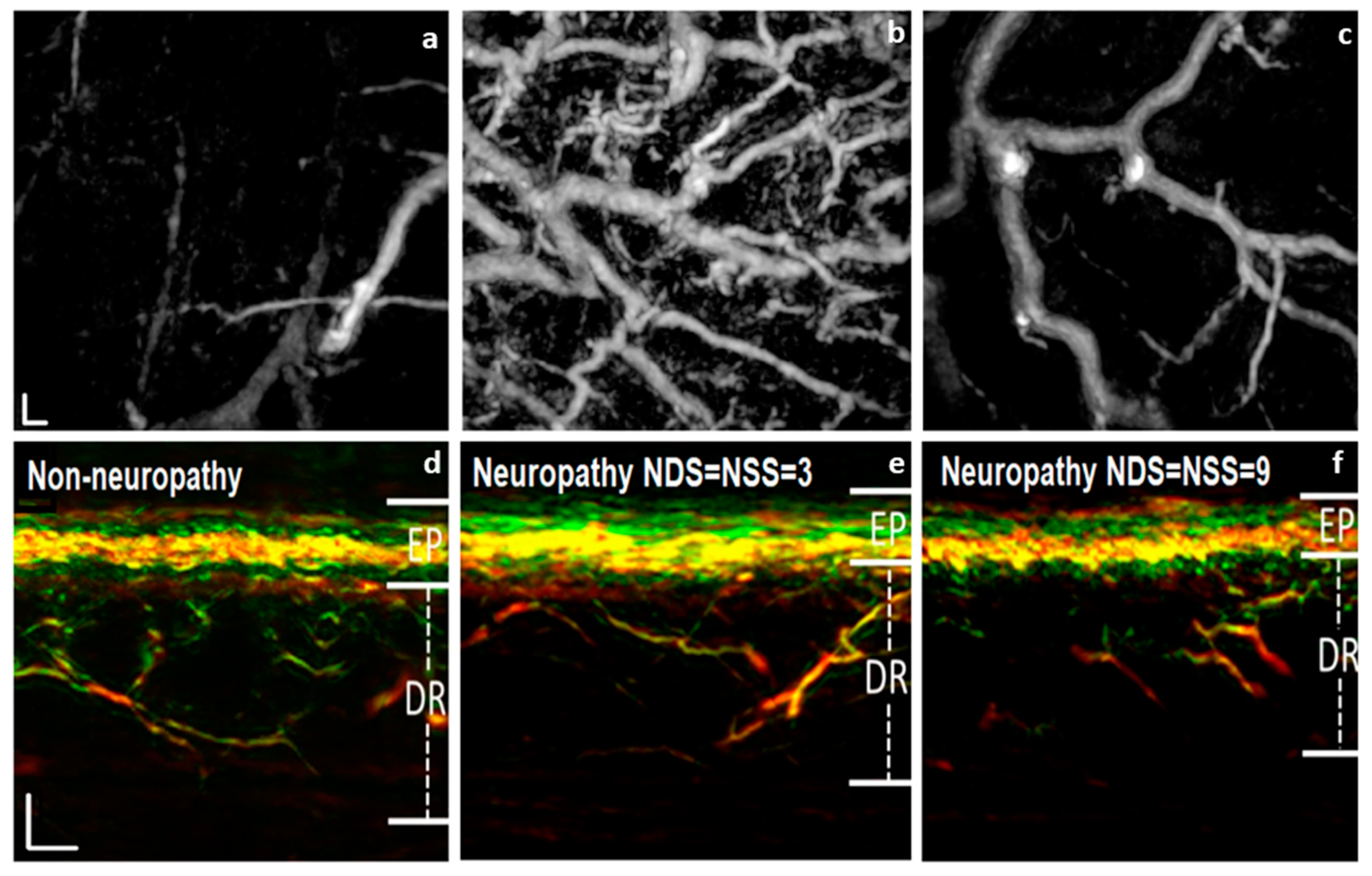 Preprints 104524 g004