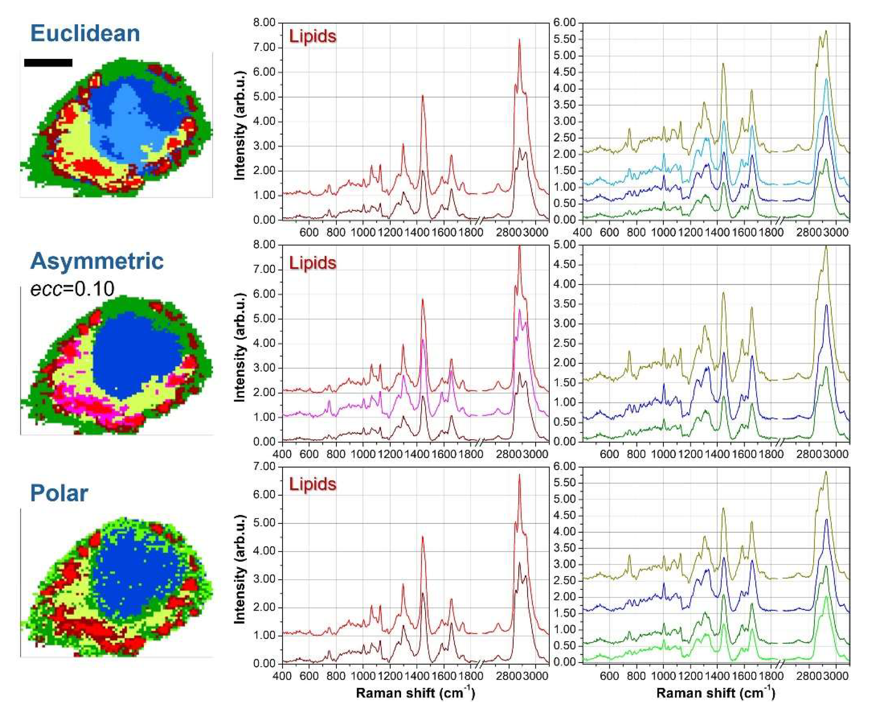 Preprints 151544 g005