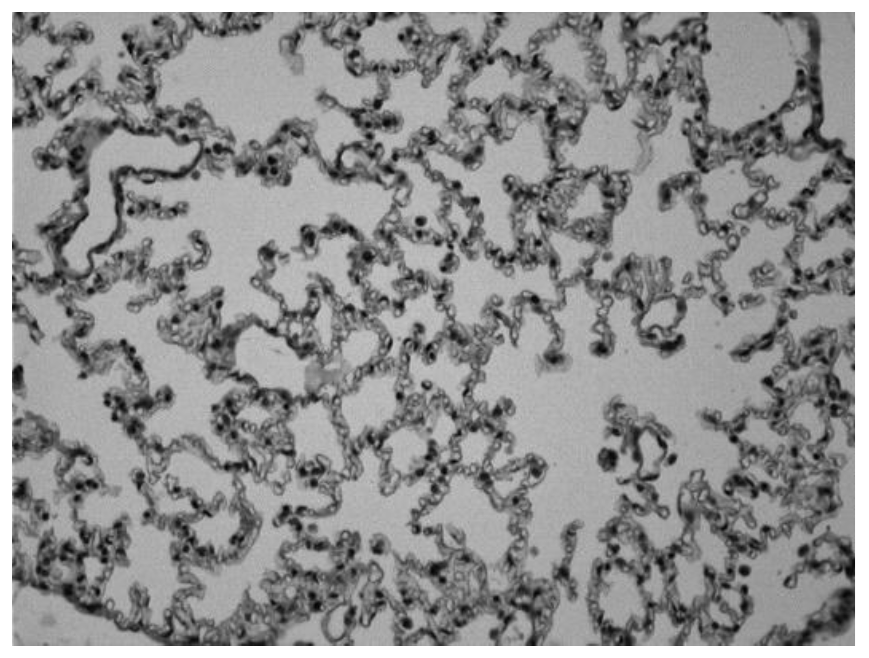 Preprints 174505 g004