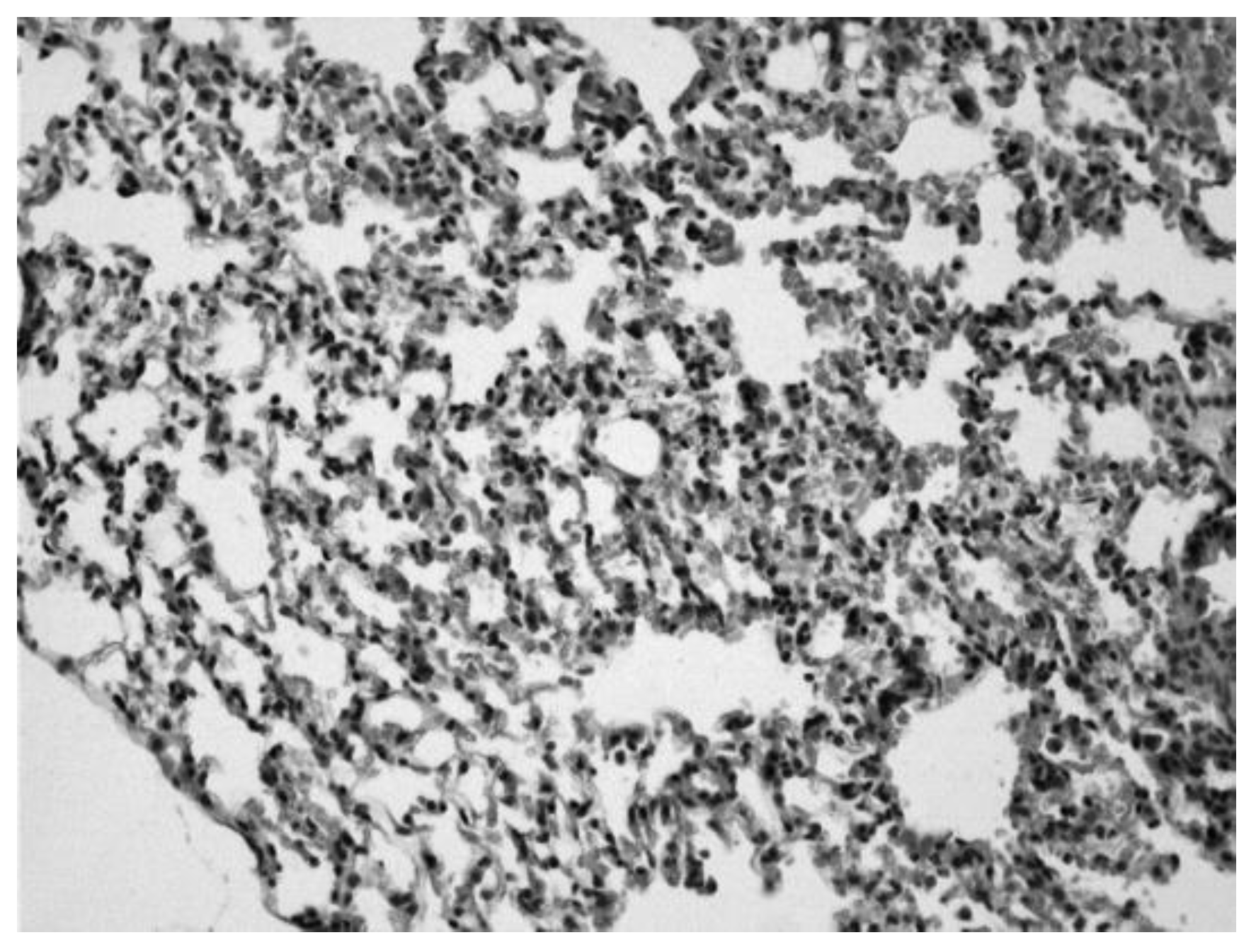 Preprints 174505 g005