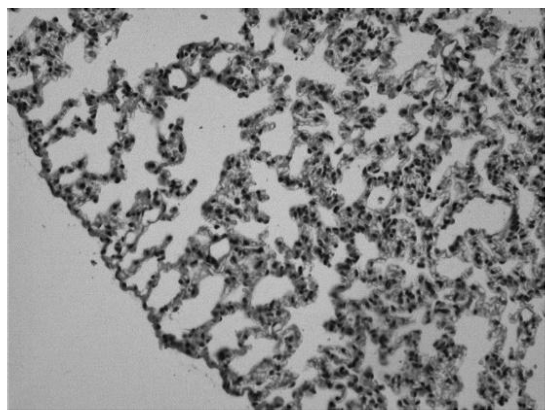 Preprints 174505 g006