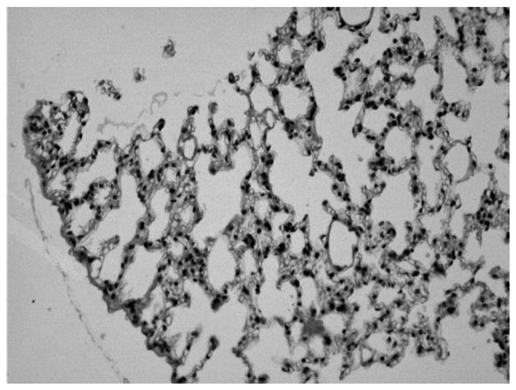 Preprints 174505 g007