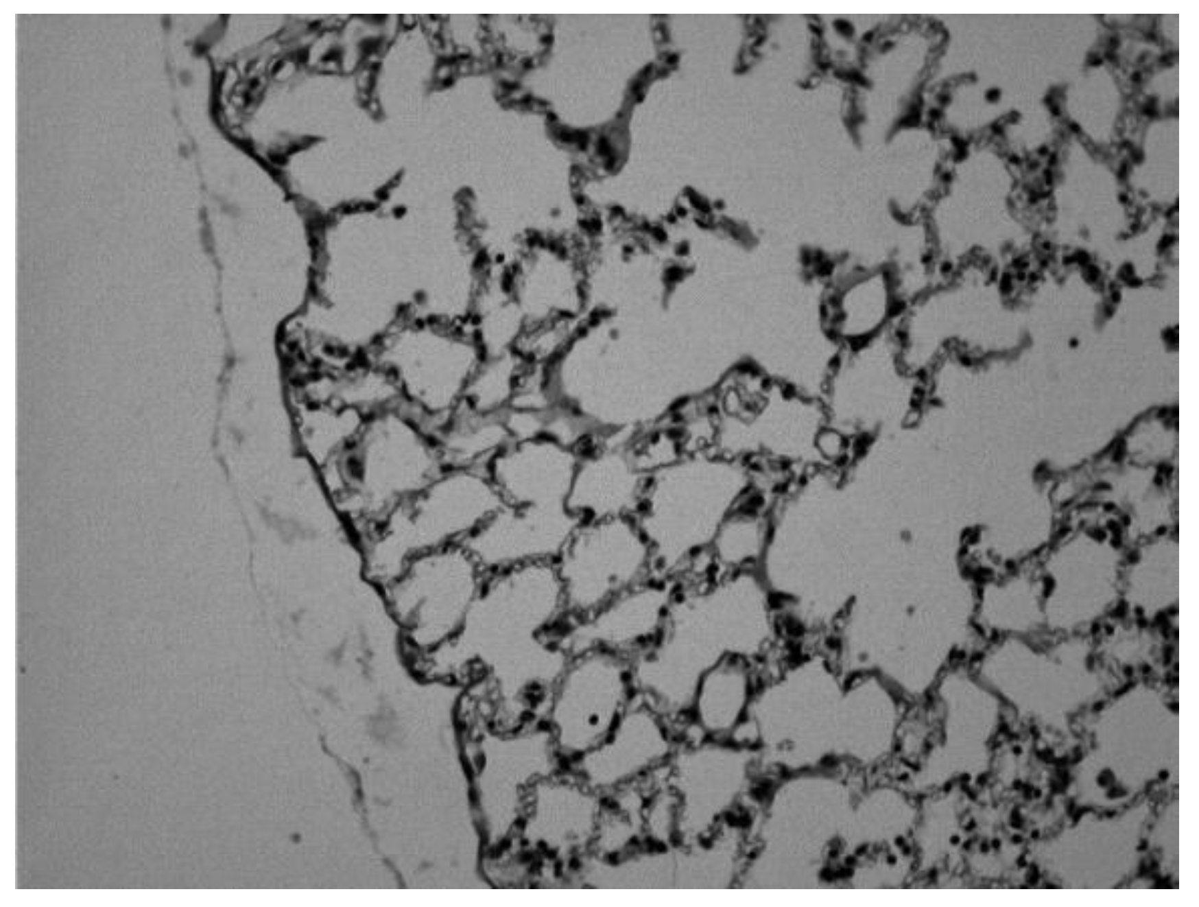 Preprints 174505 g008