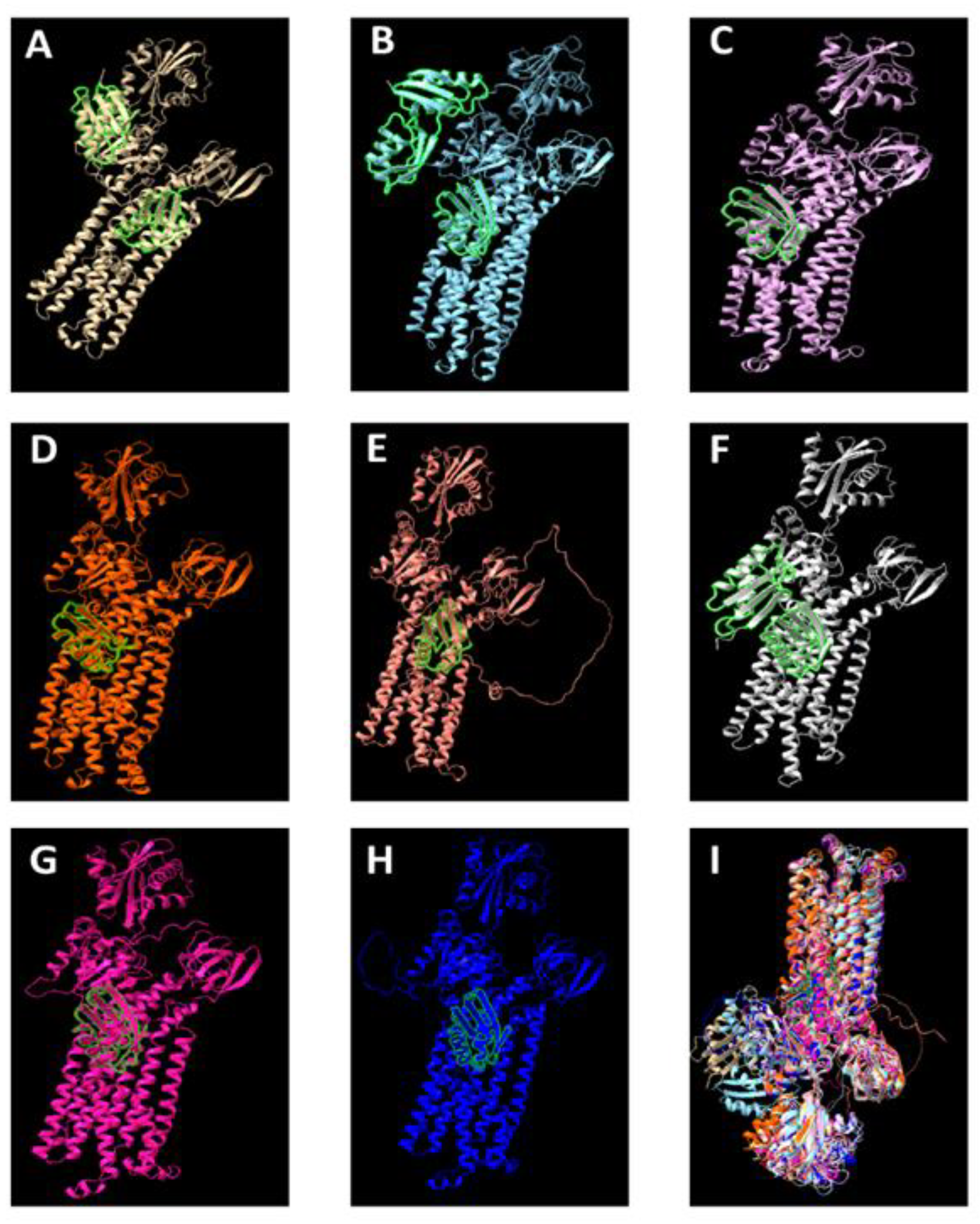 Preprints 162040 g003