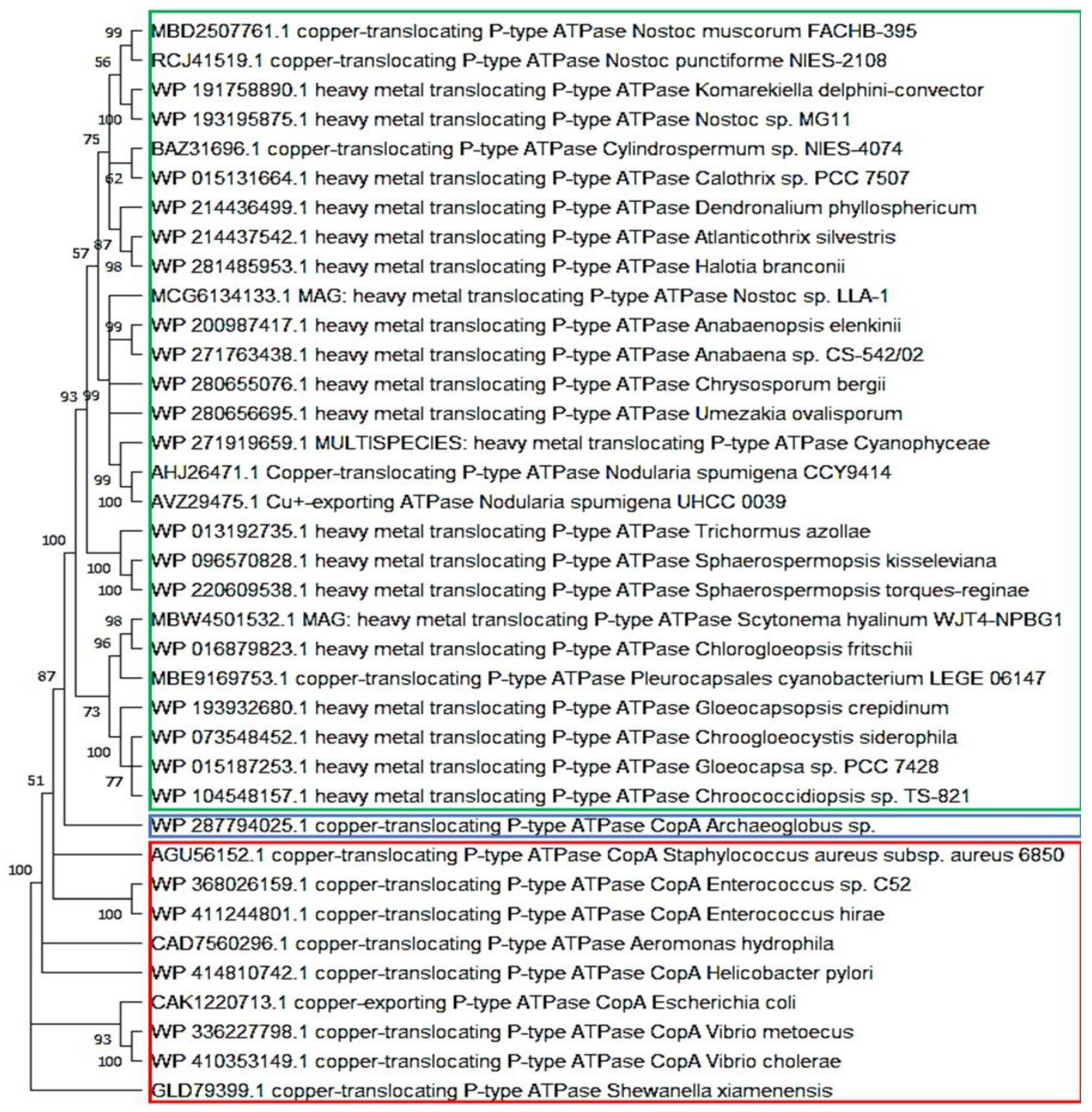 Preprints 162040 g004