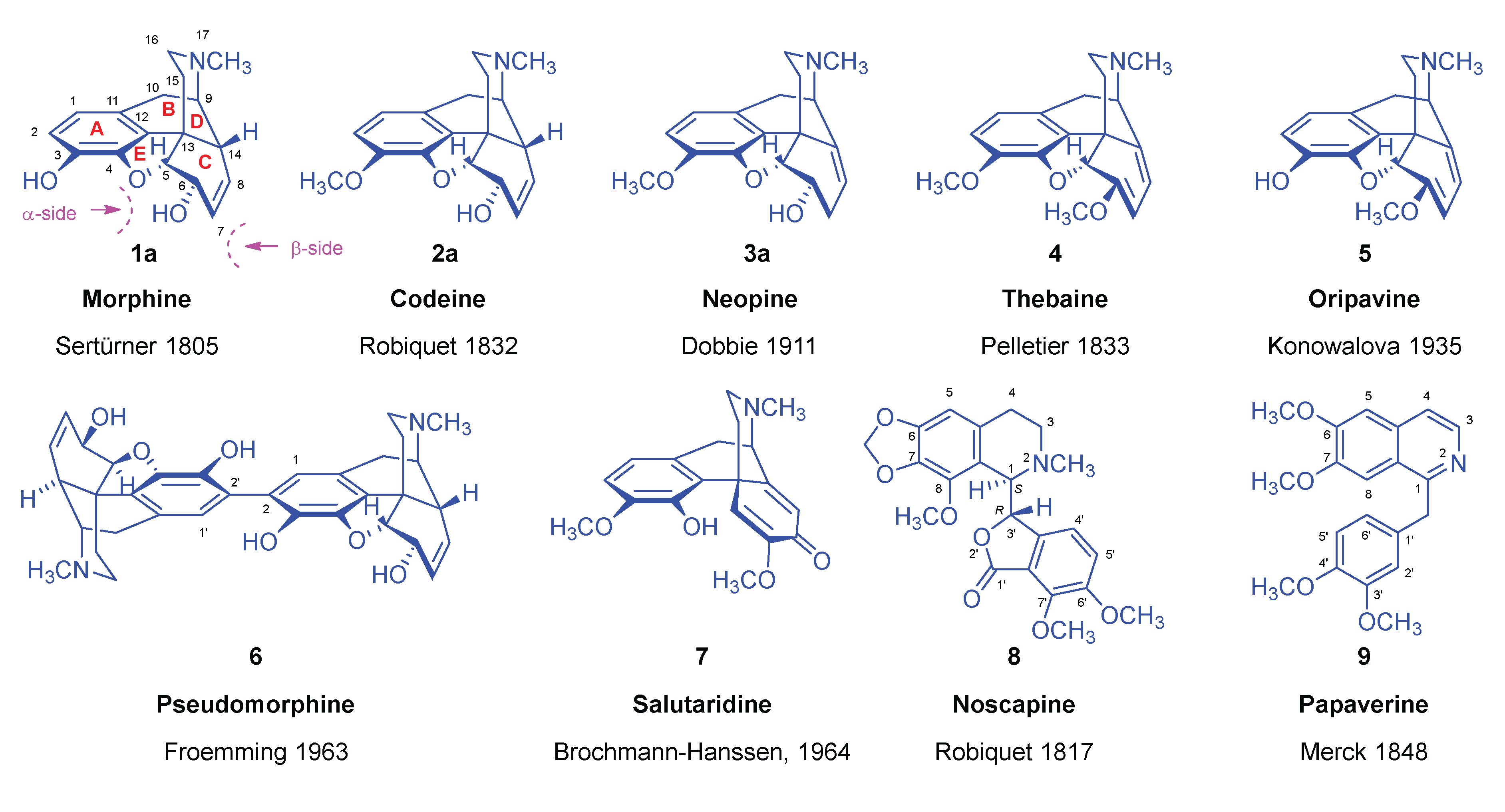 Preprints 149293 g001