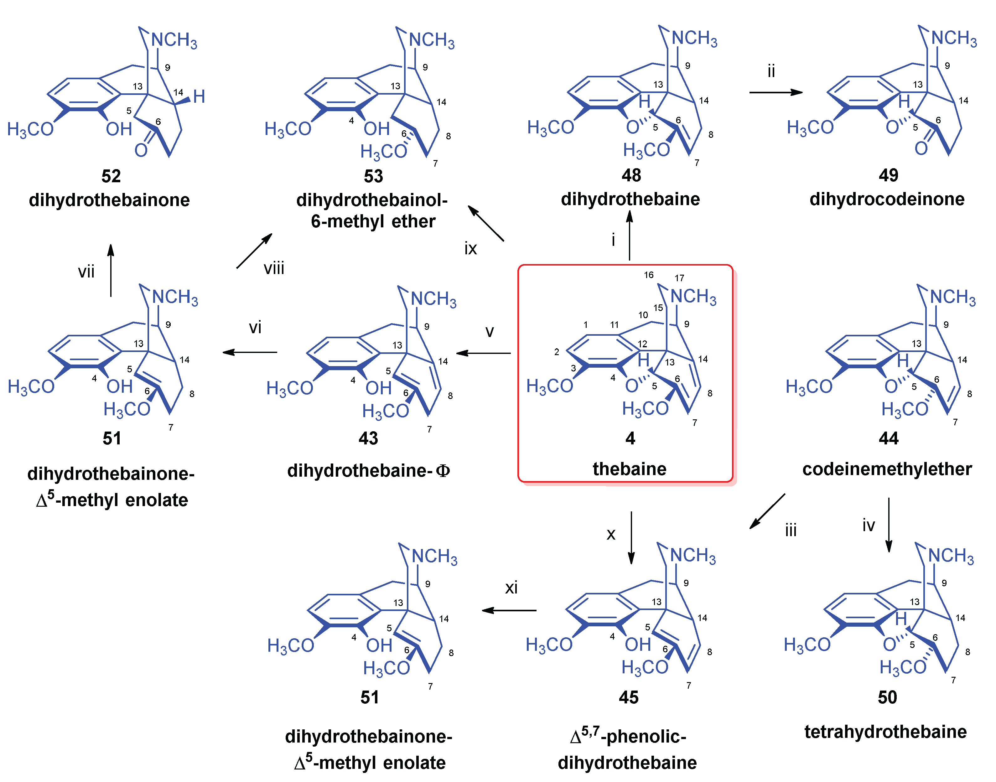 Preprints 149293 g015
