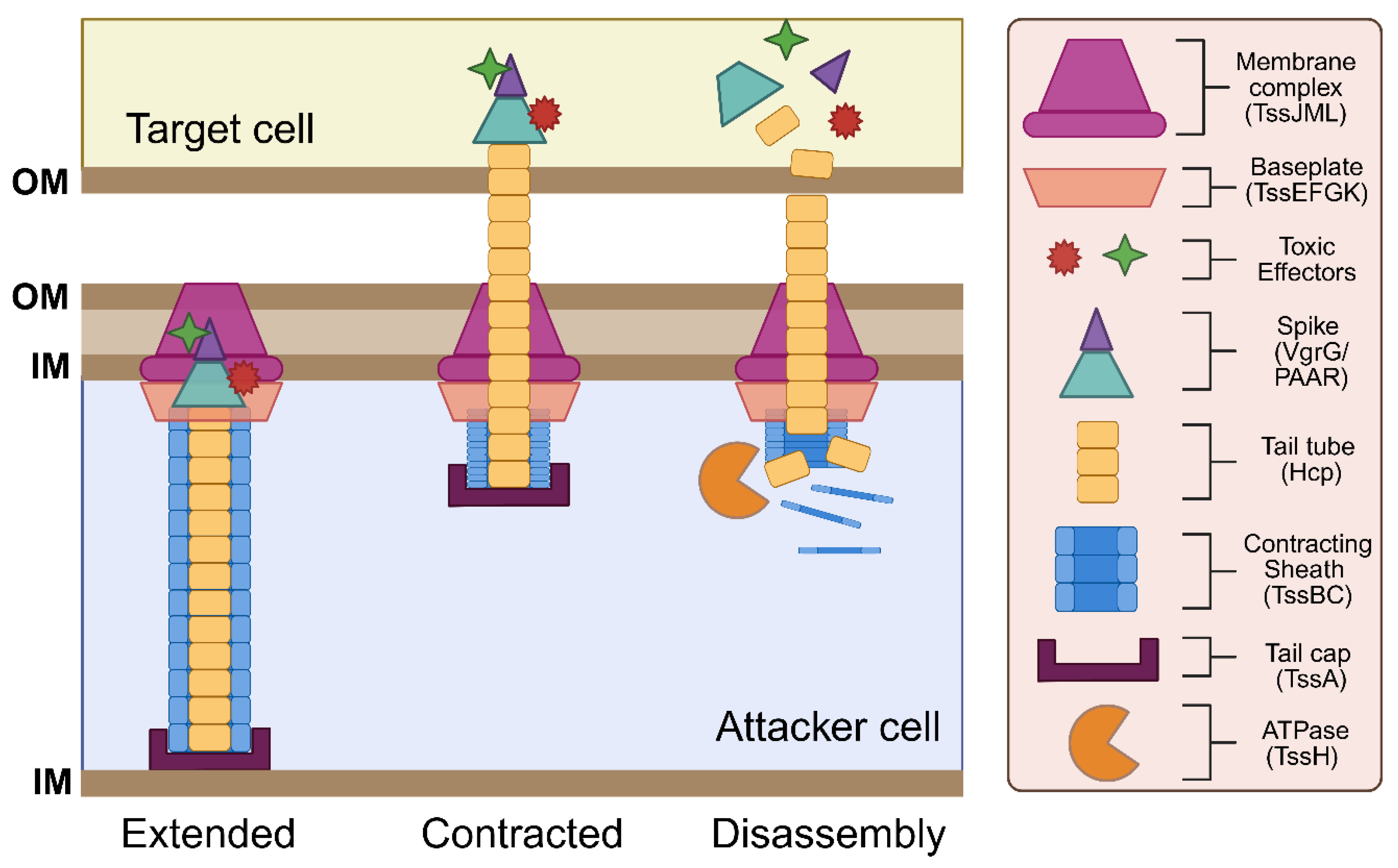 Preprints 157081 g001