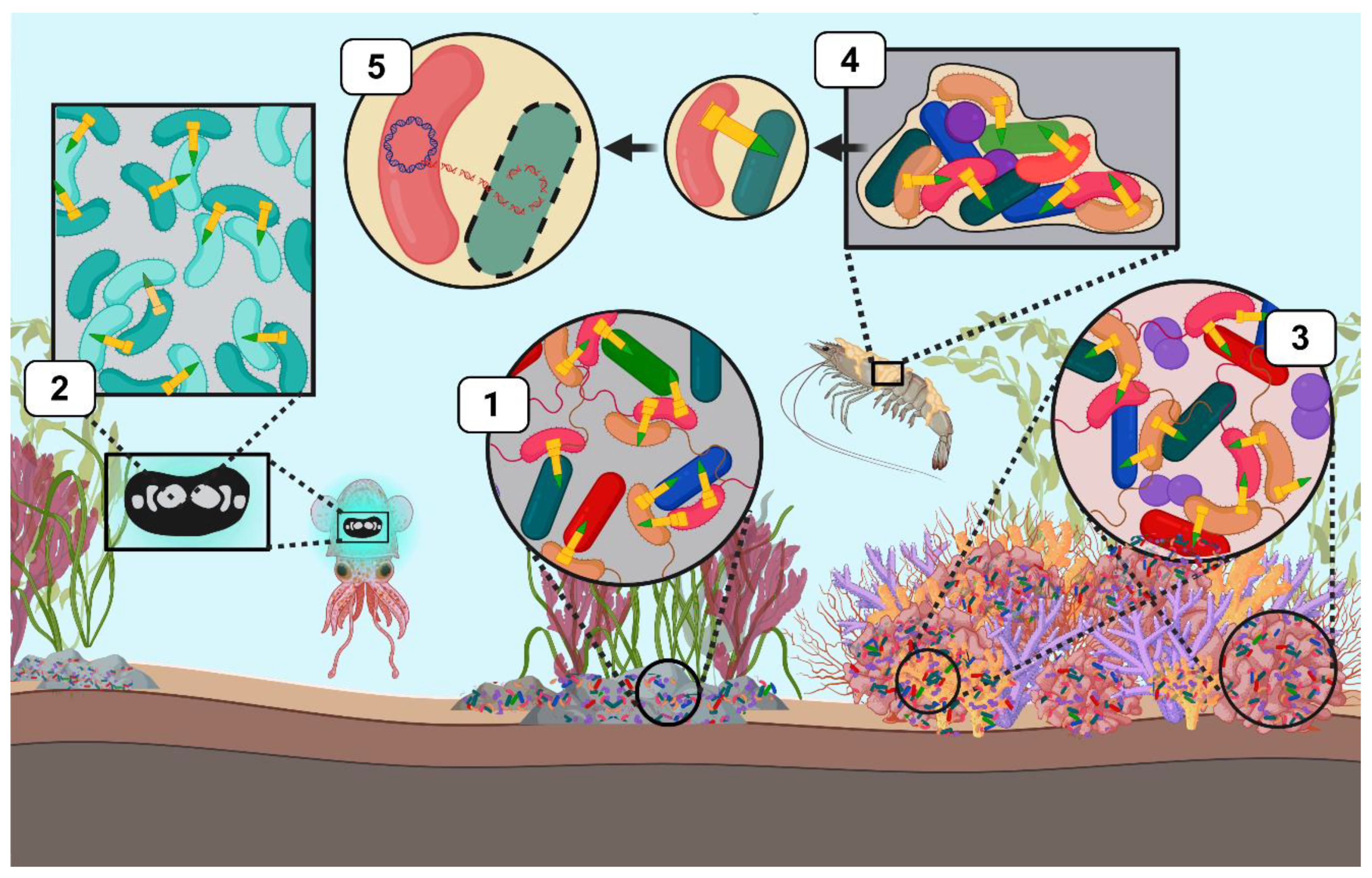 Preprints 157081 g002
