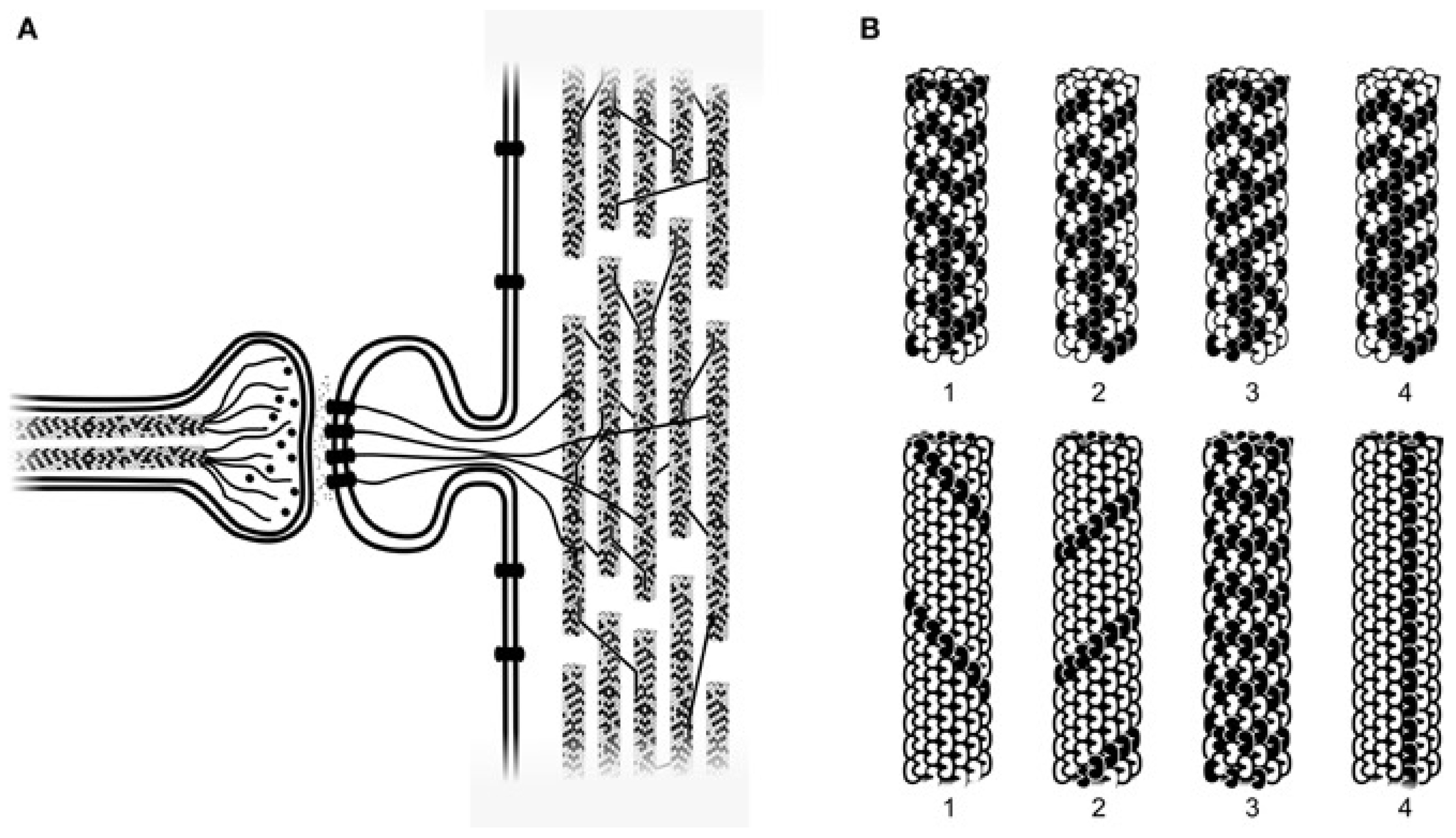 Preprints 100164 g002