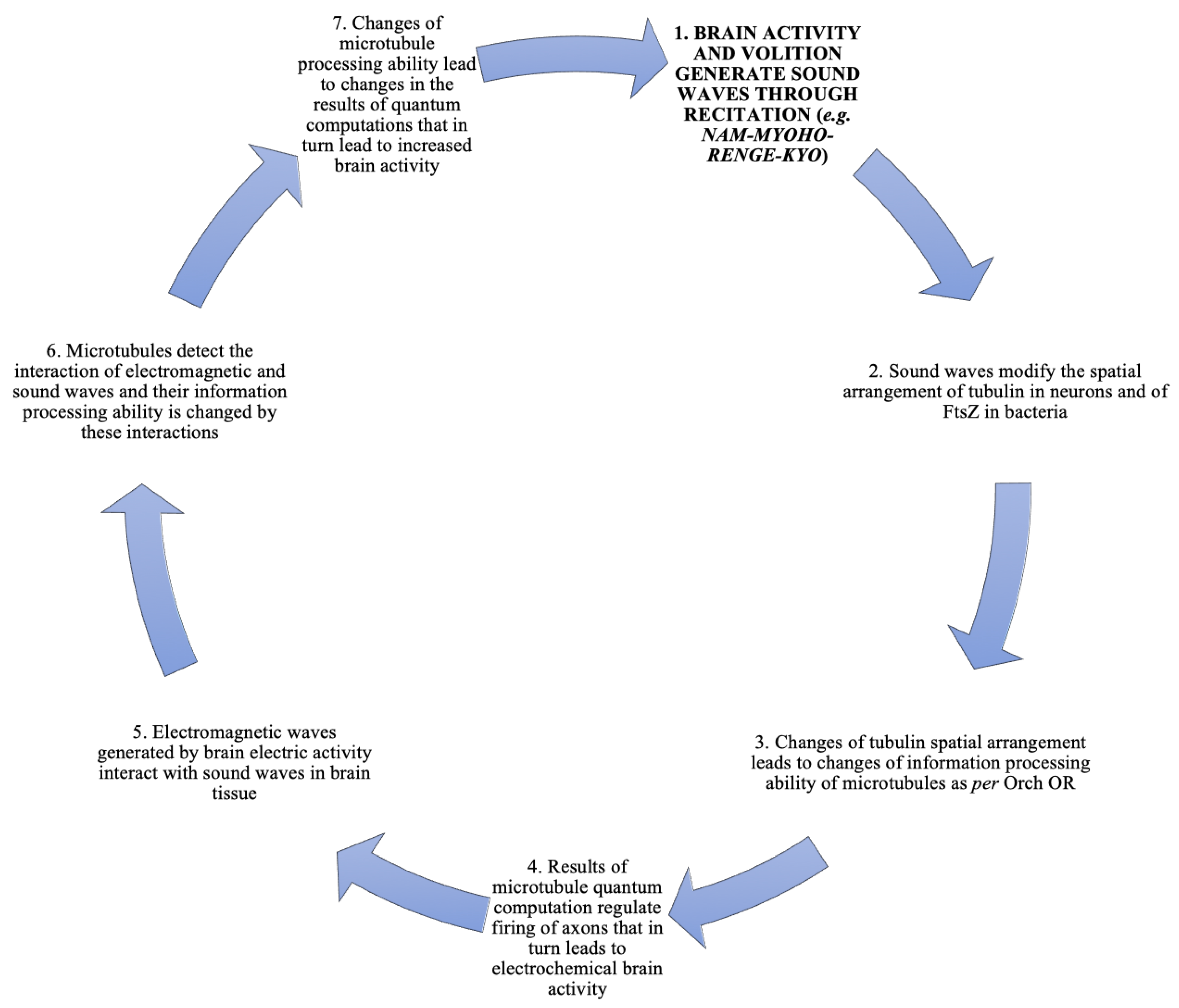 Preprints 100164 g003