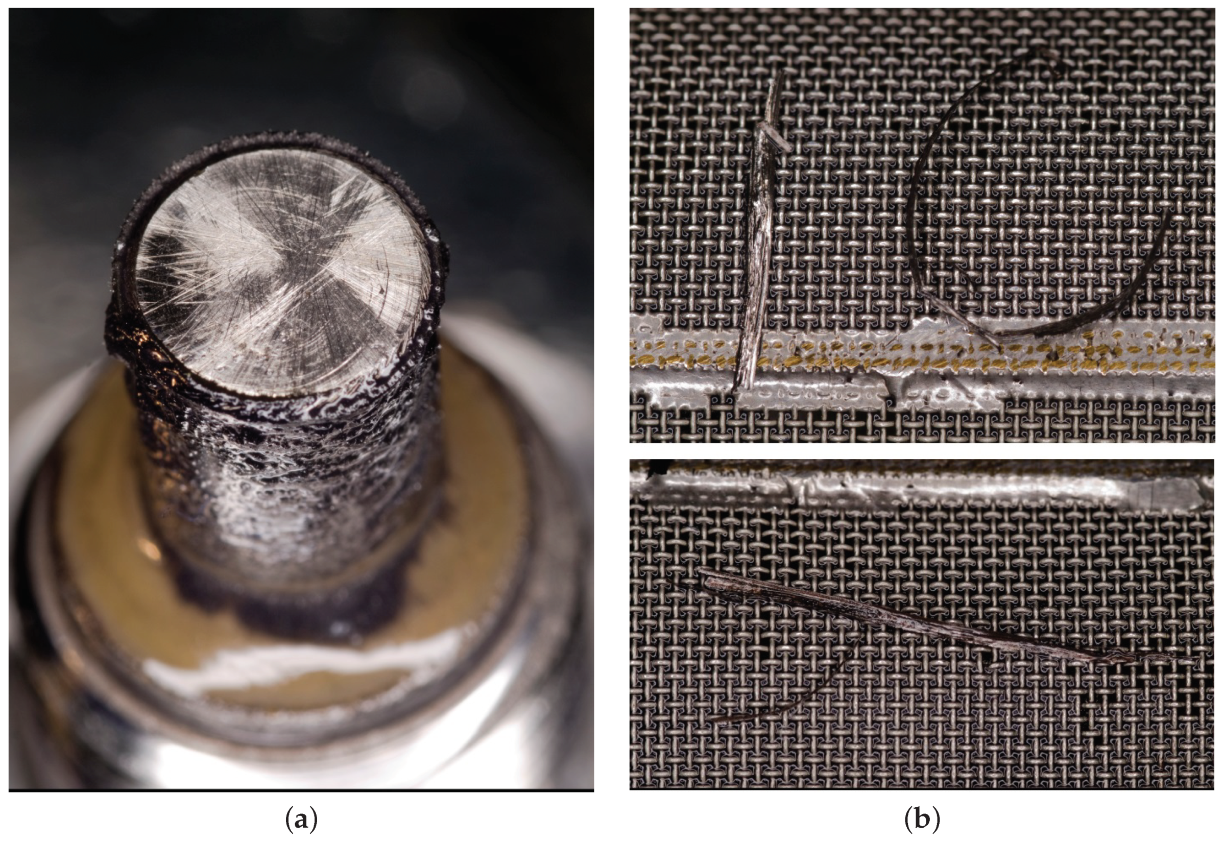 Preprints 74903 g013