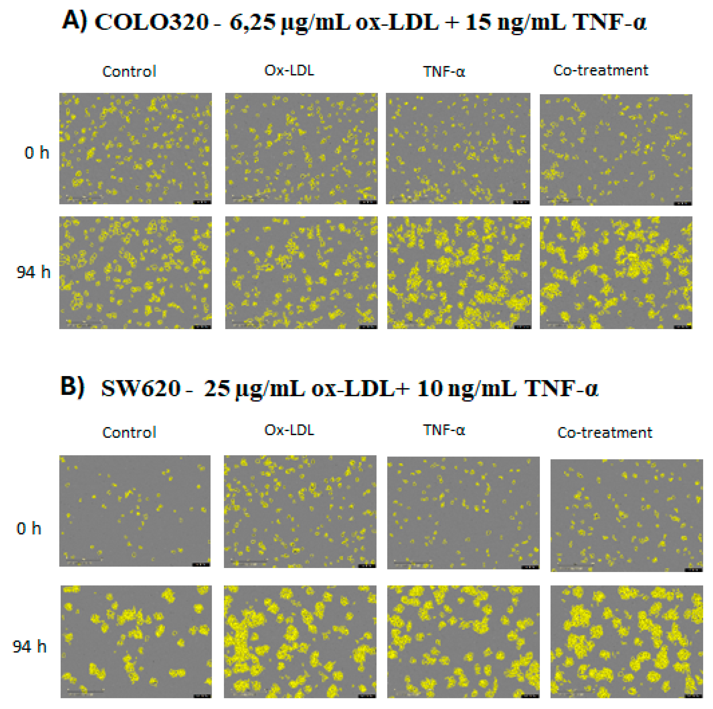 Preprints 170640 g003