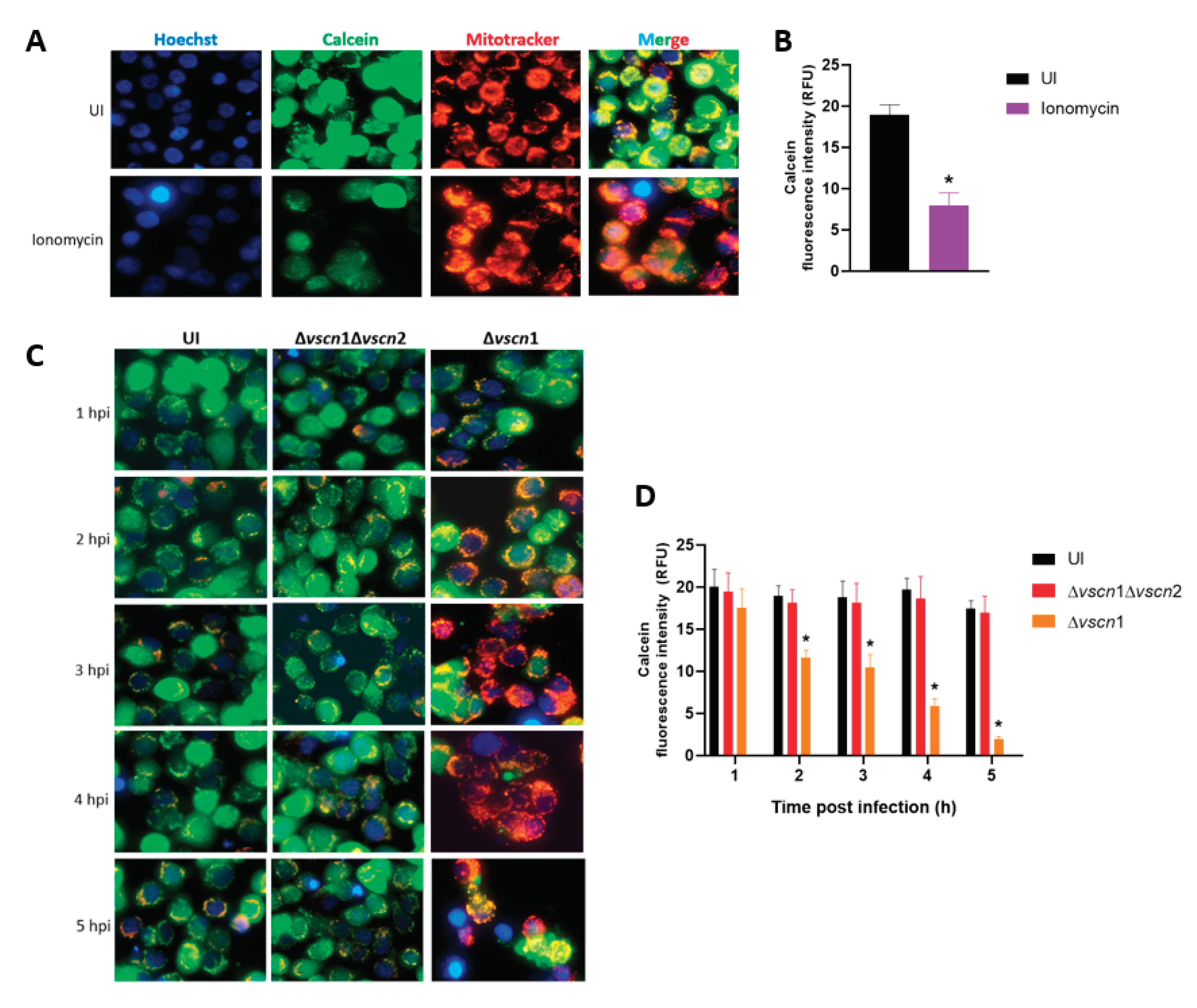 Preprints 101389 g001