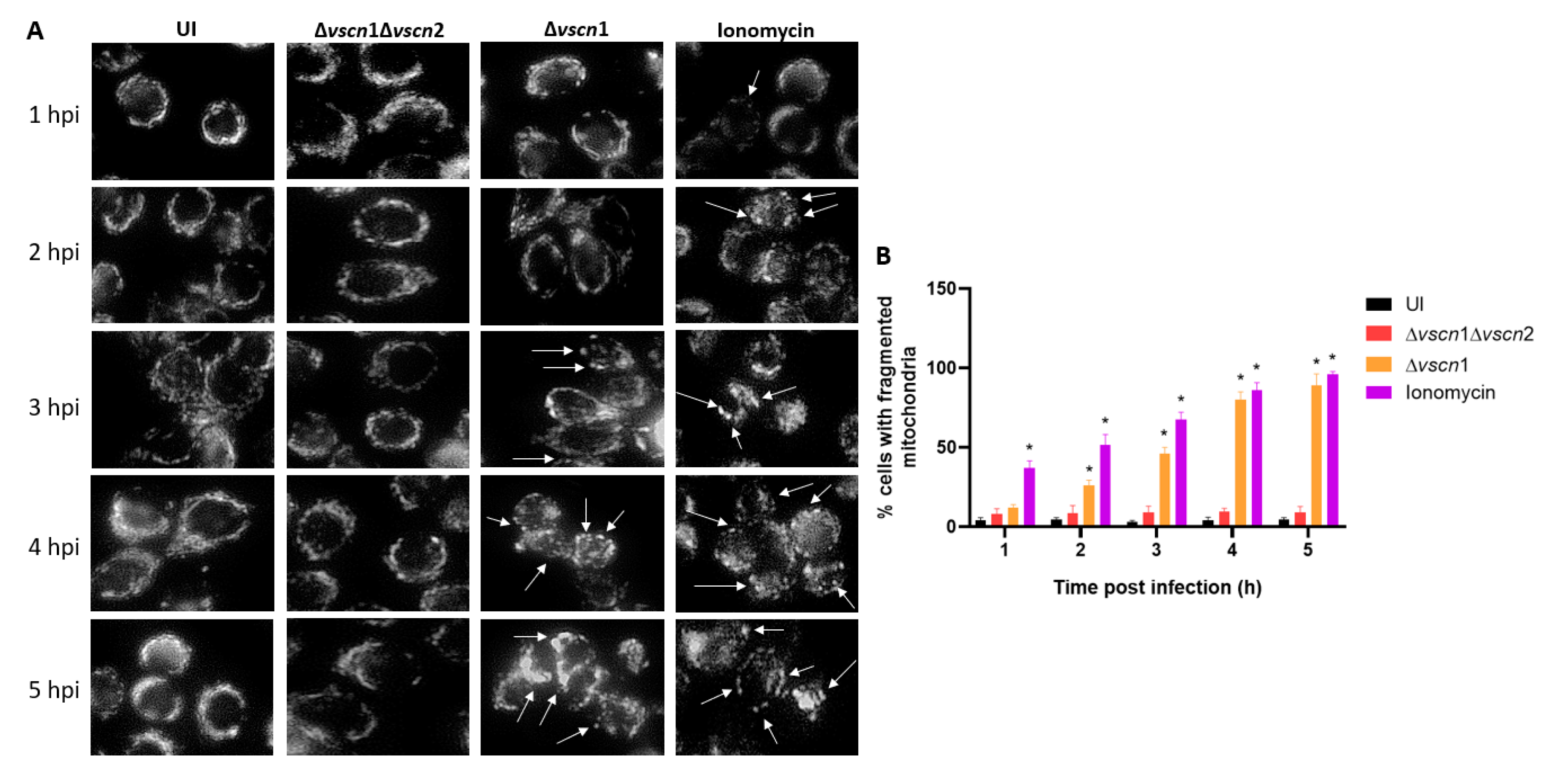 Preprints 101389 g002