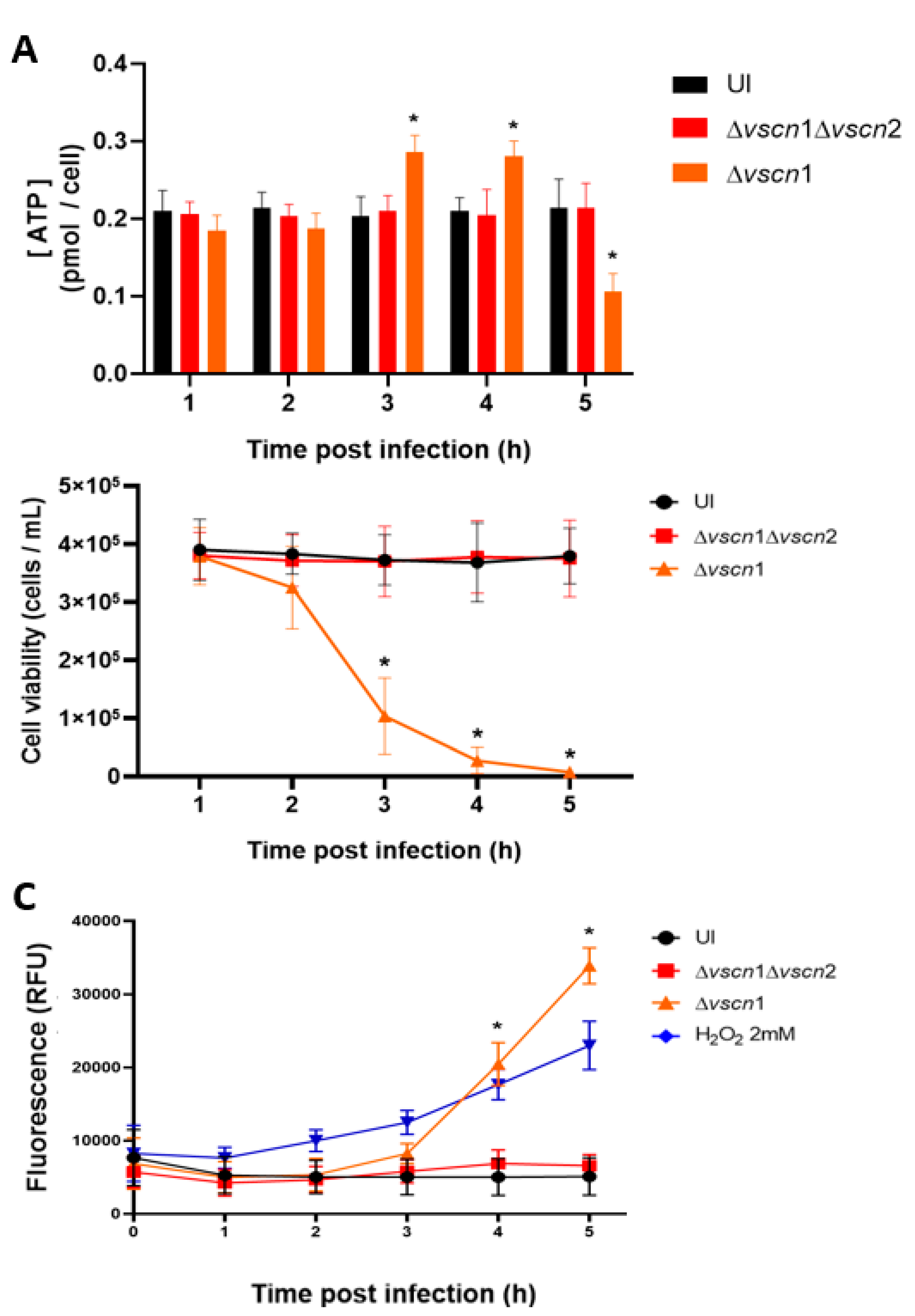 Preprints 101389 g003