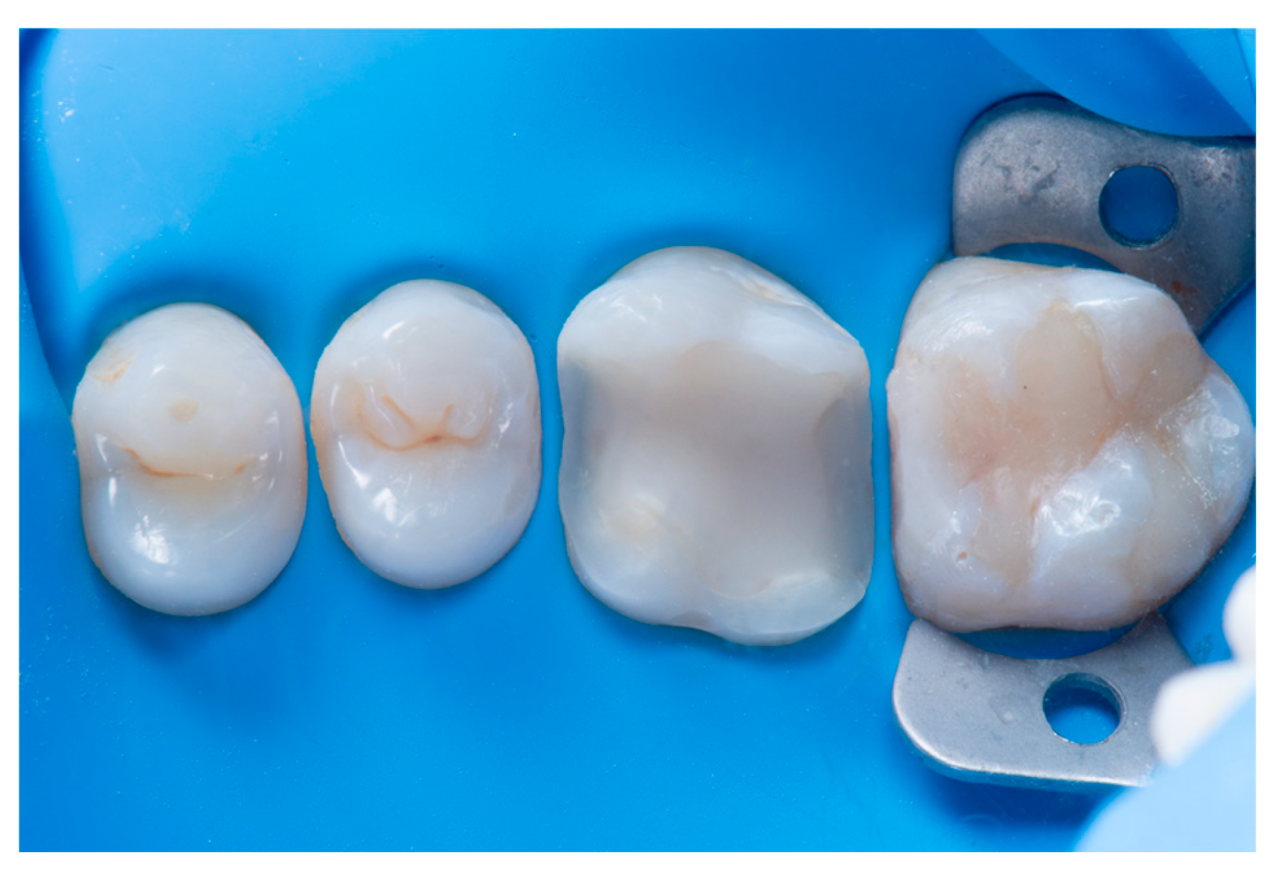 Preprints 153601 g001