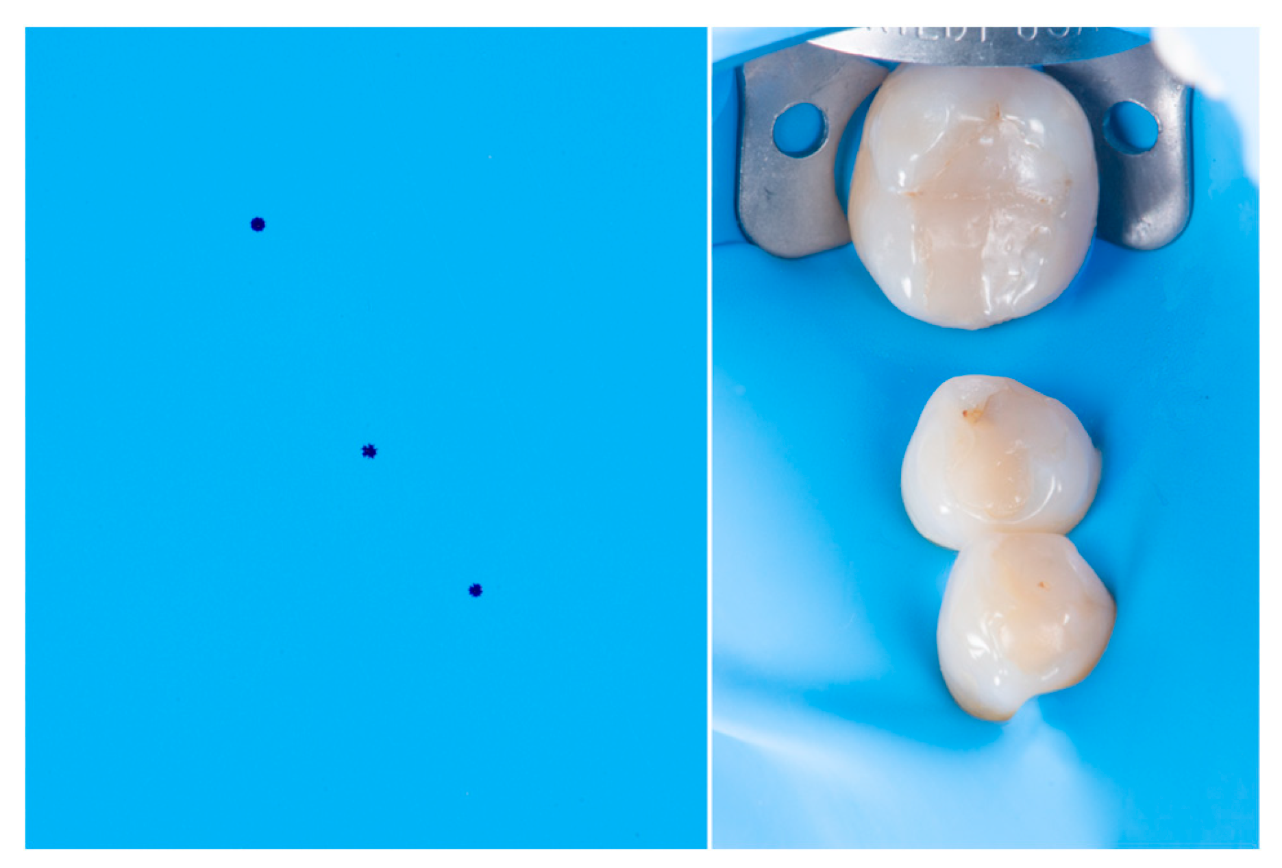 Preprints 153601 g003