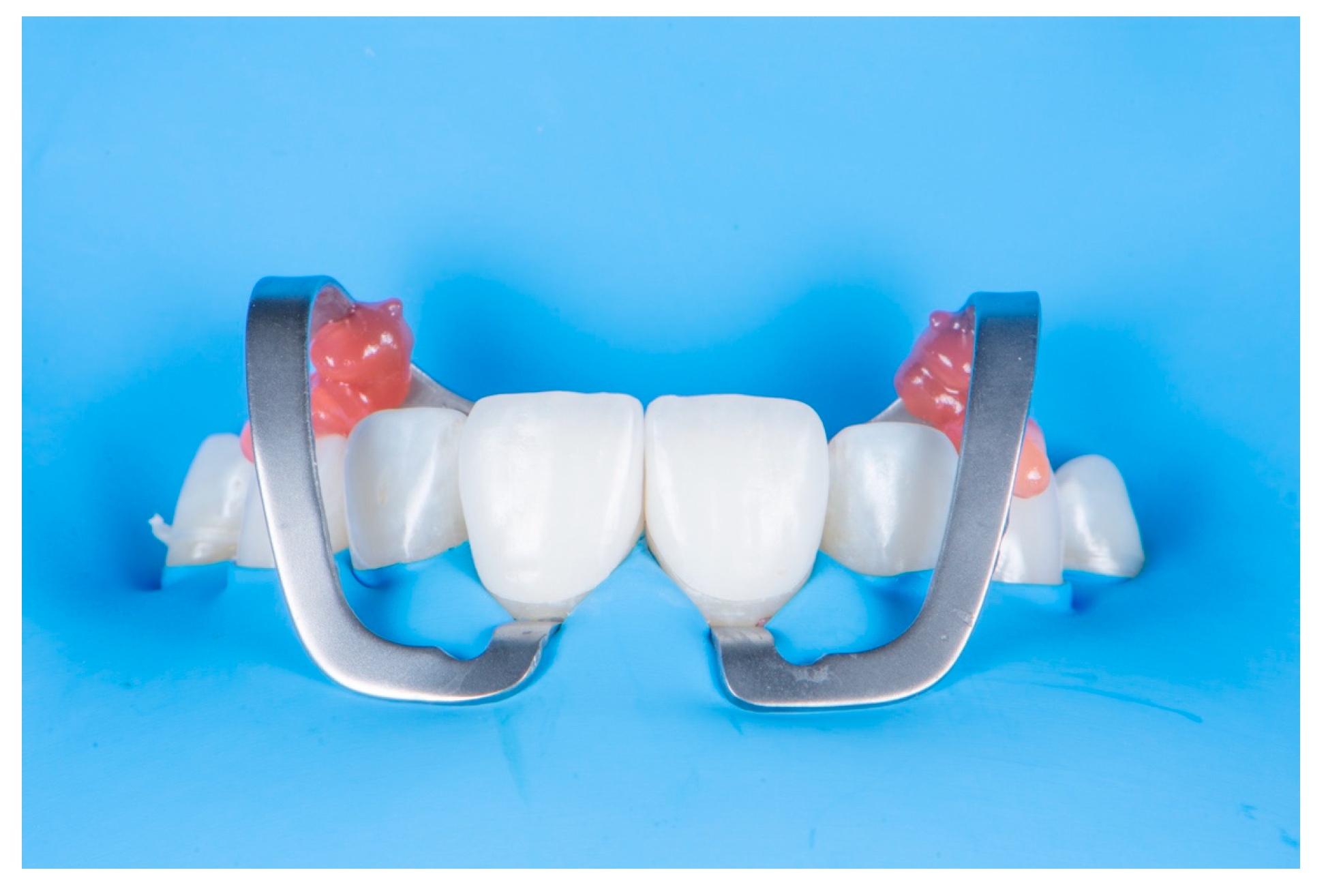 Preprints 153601 g004