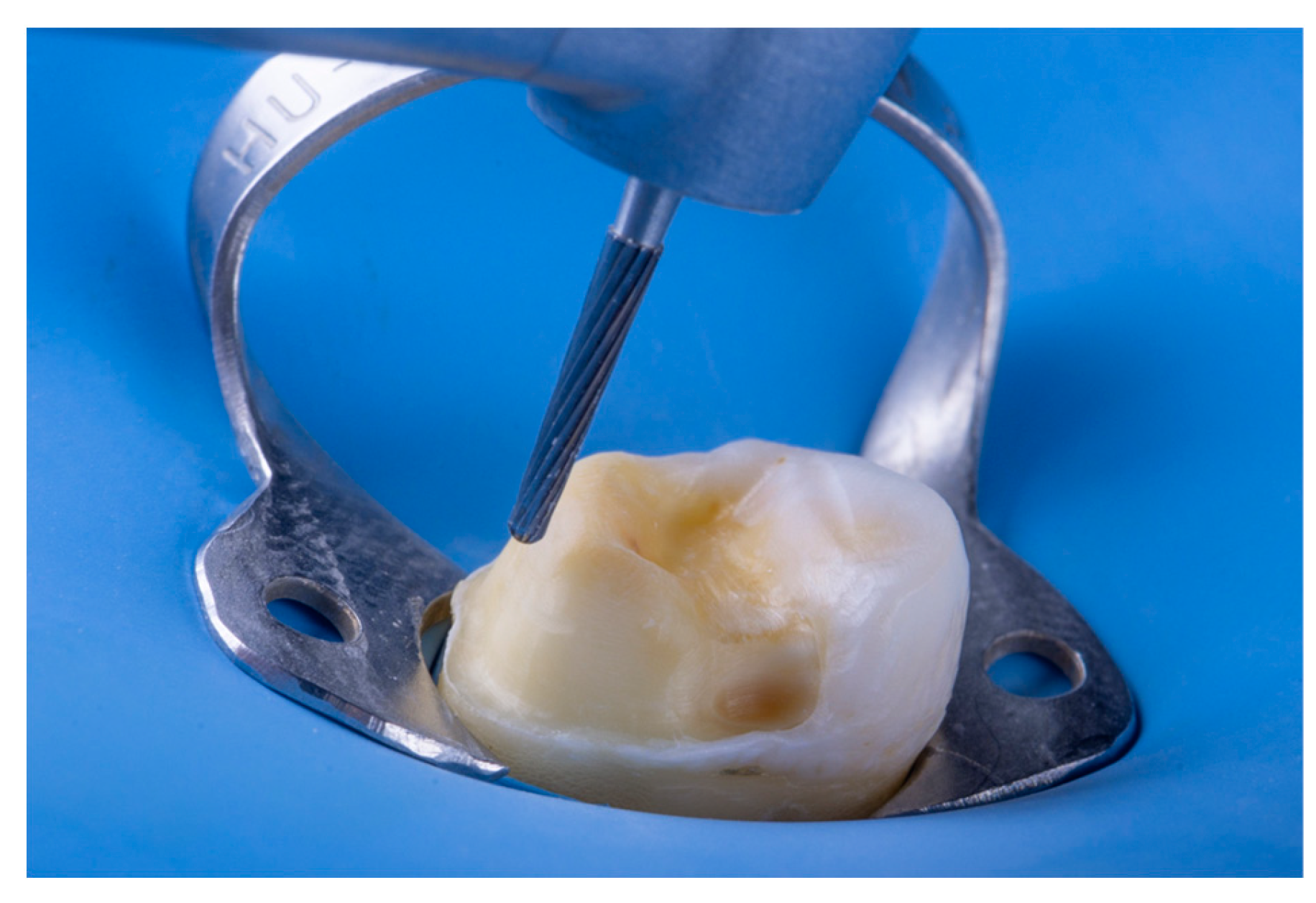 Preprints 153601 g006