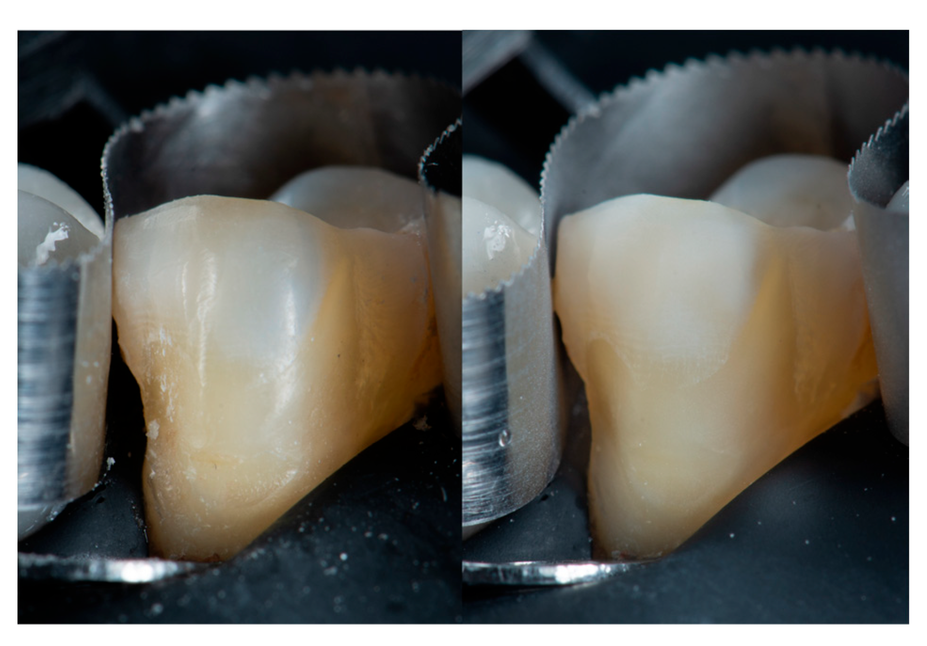 Preprints 153601 g007